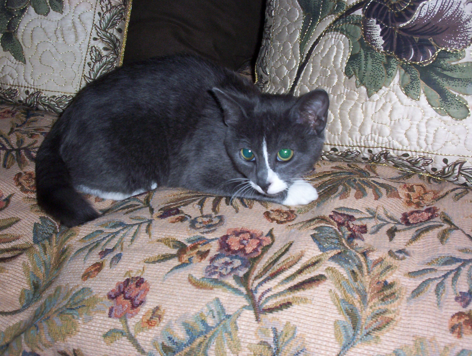 100_0507.jpg