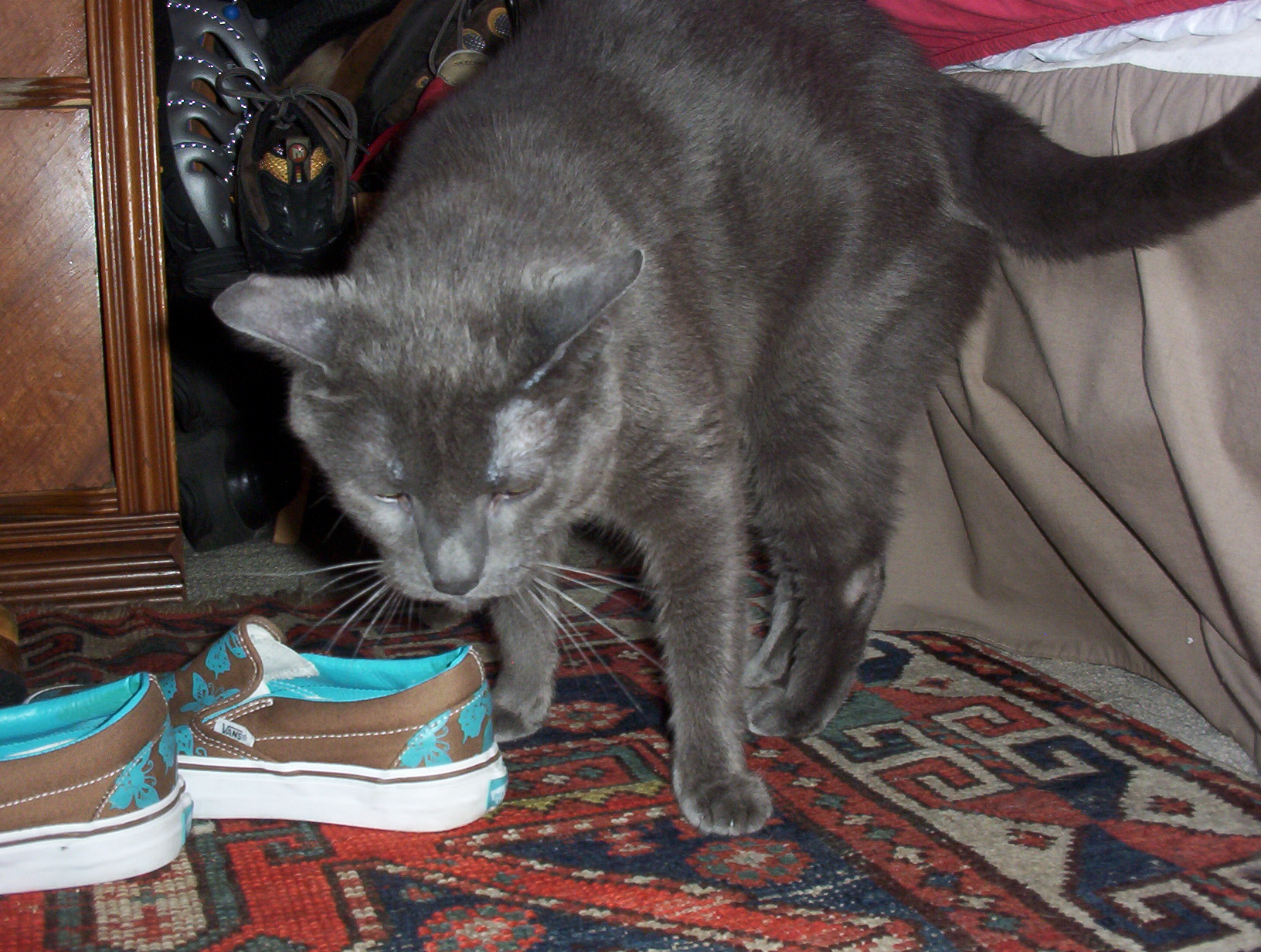 100_0505.jpg