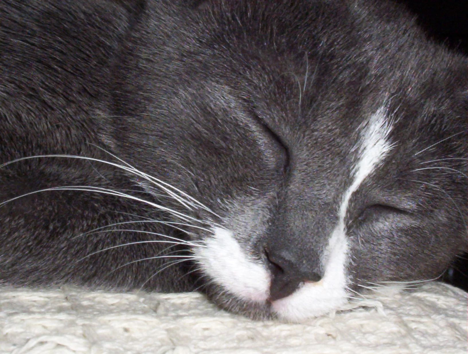 100_0521.jpg