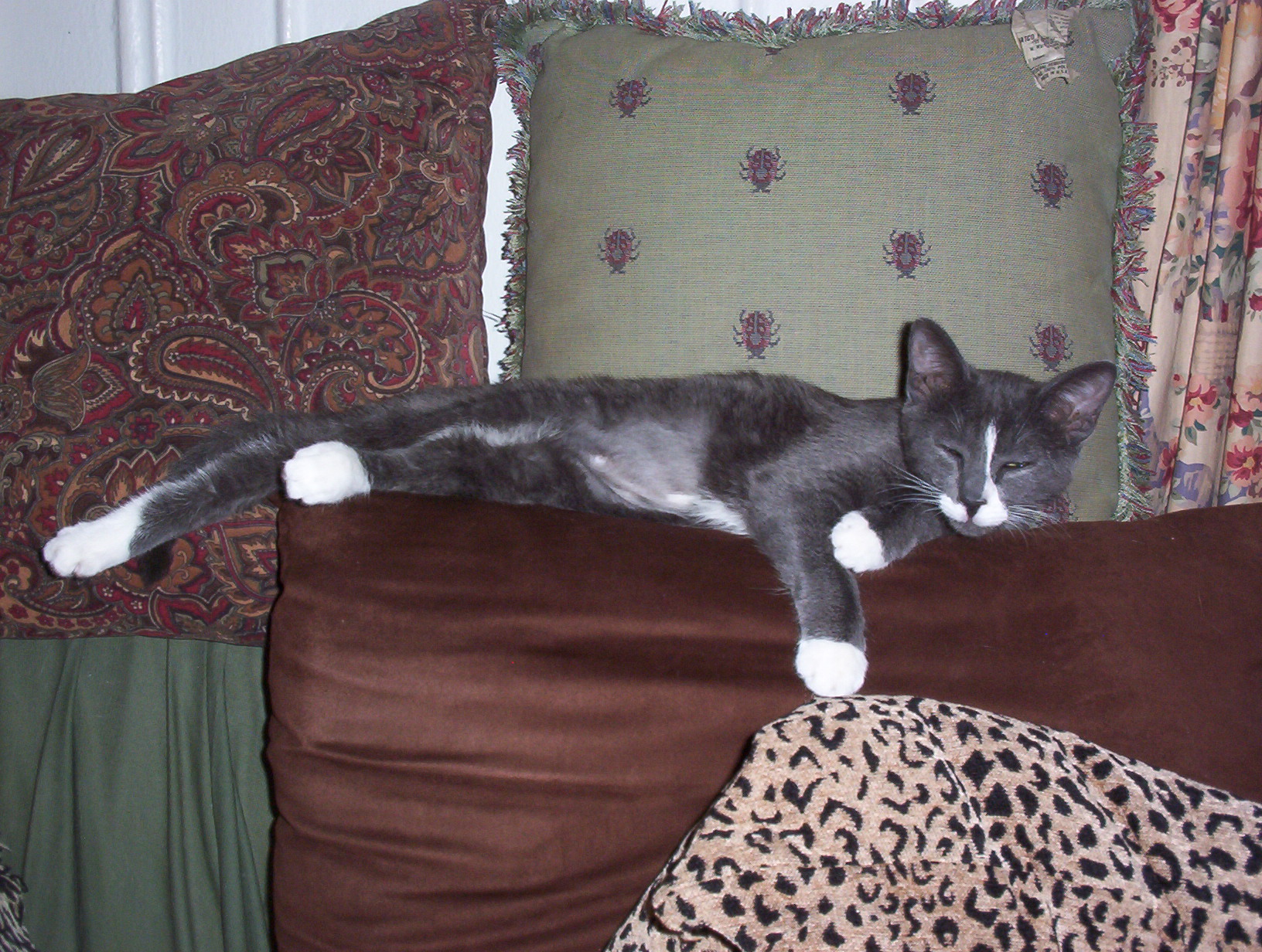 100_0531.jpg