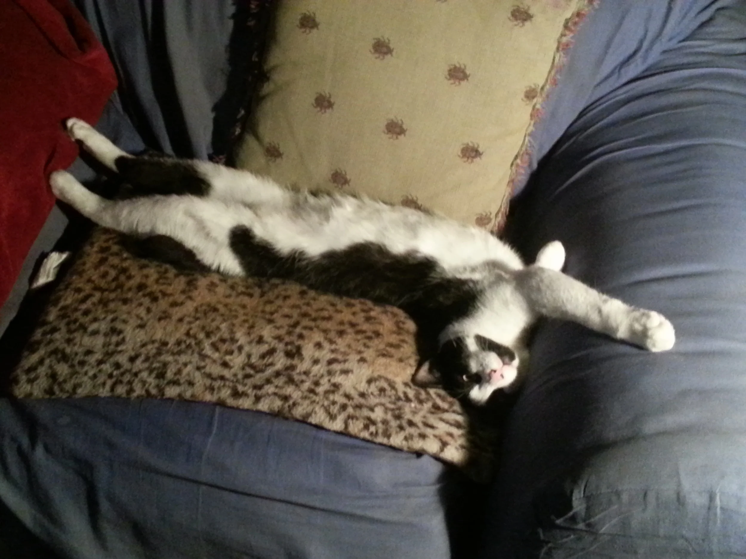2013-01-16 18.32.34.jpg