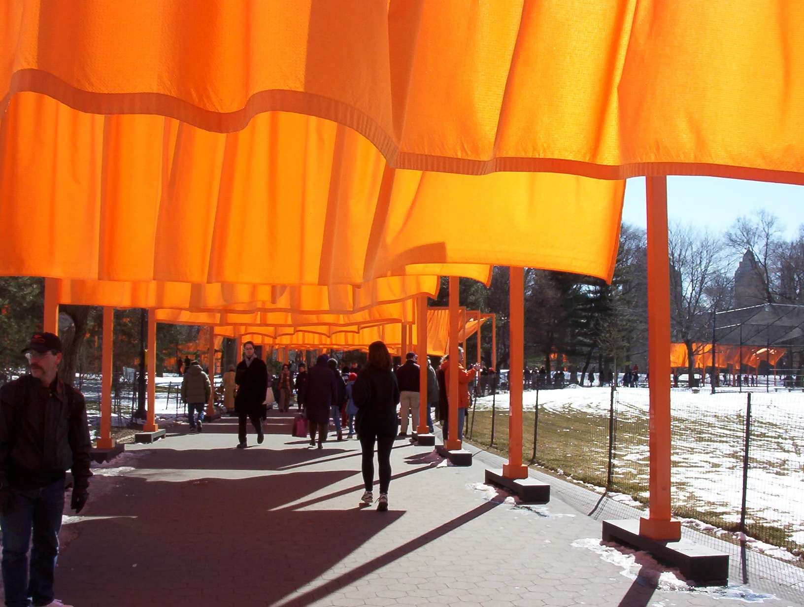 100_0314.JPG
