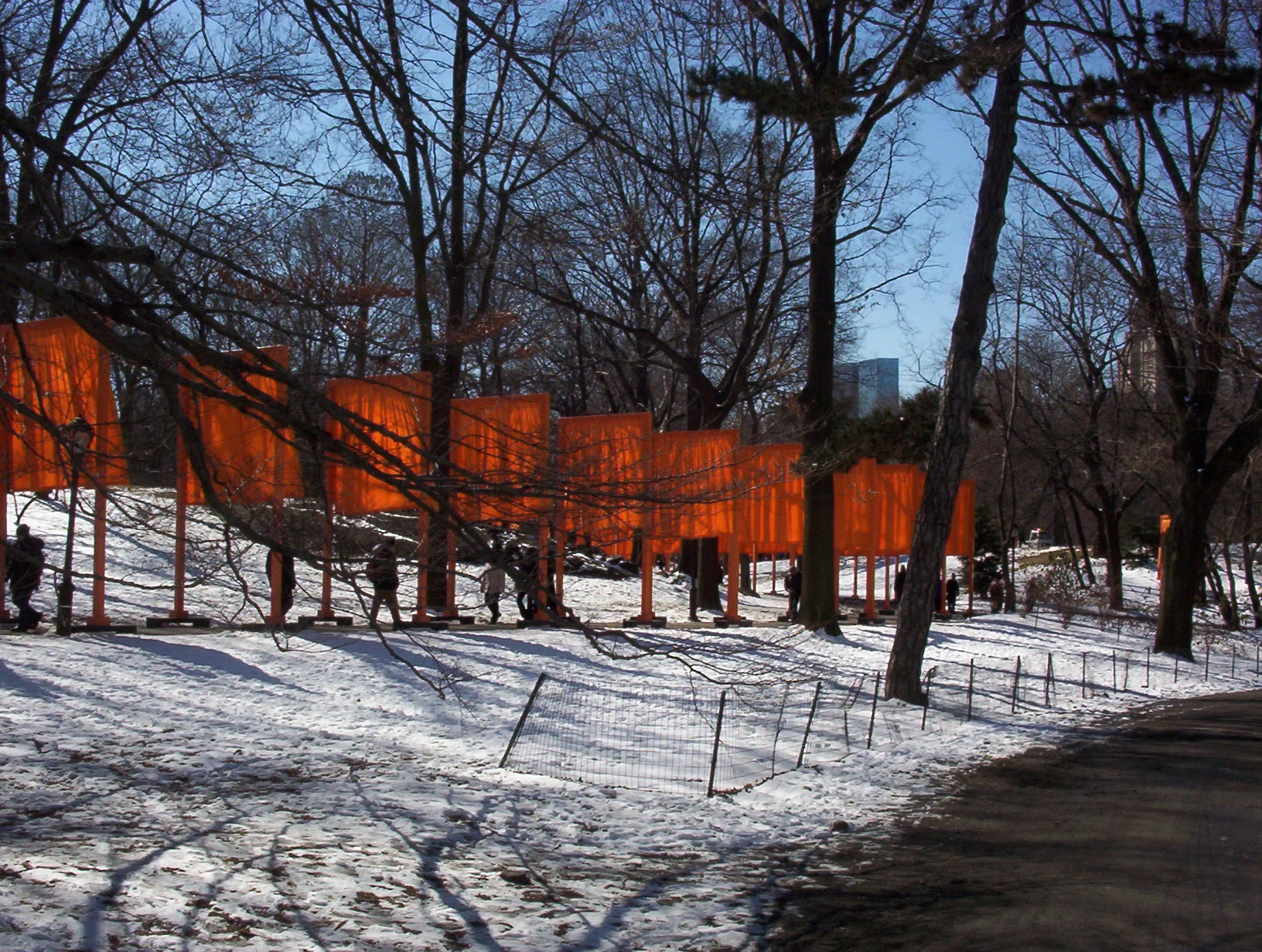 100_0312.JPG