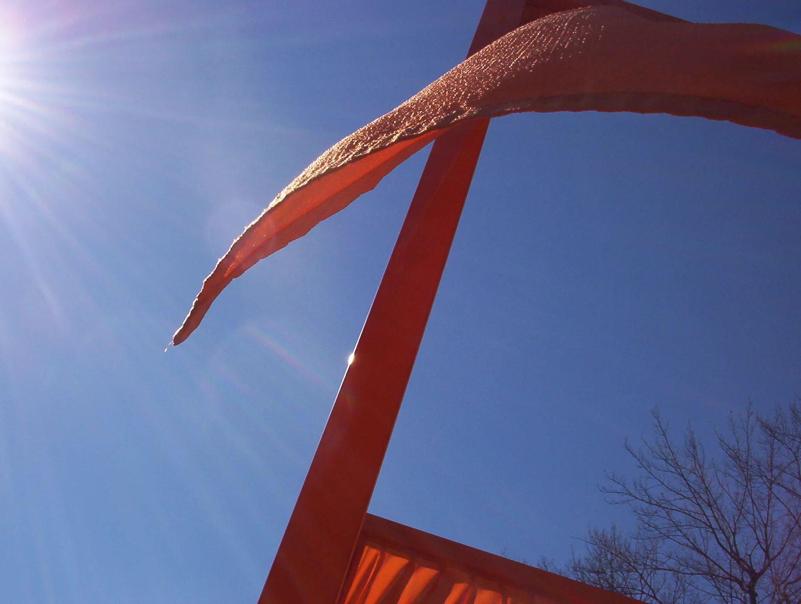 100_0318.JPG