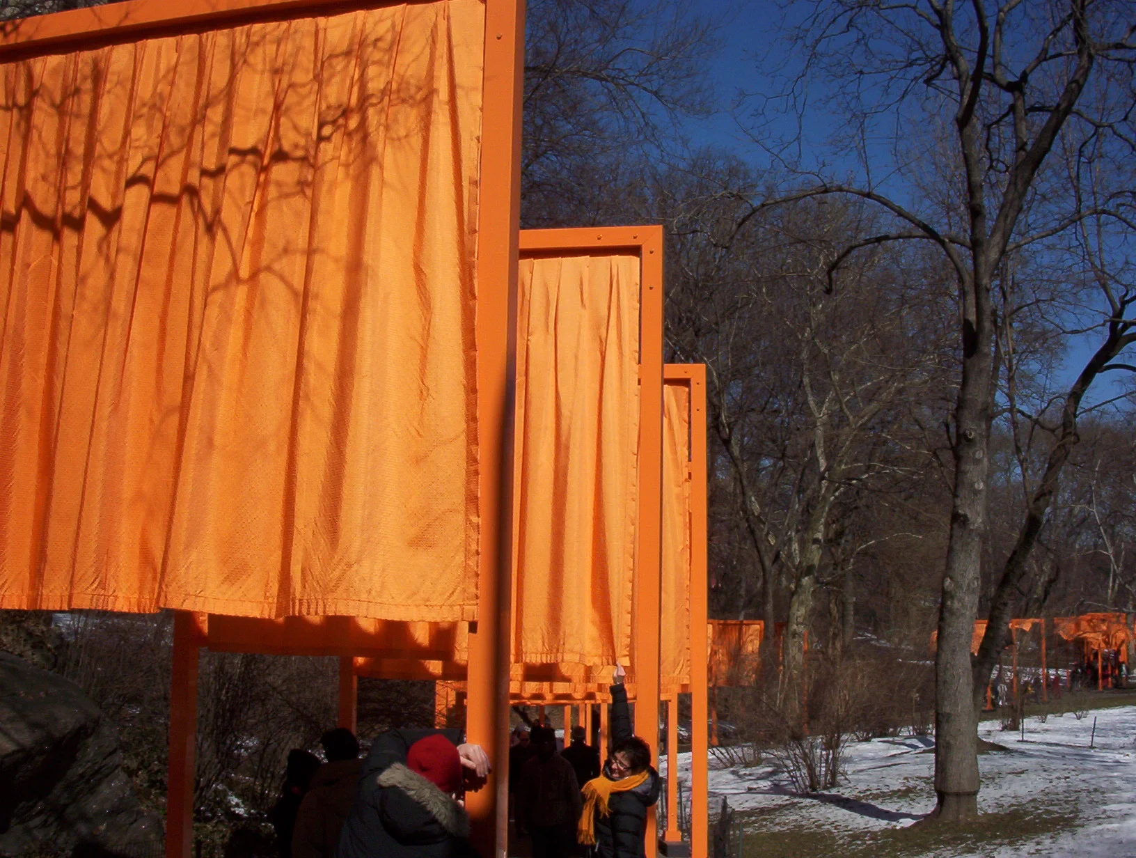 100_0336.JPG