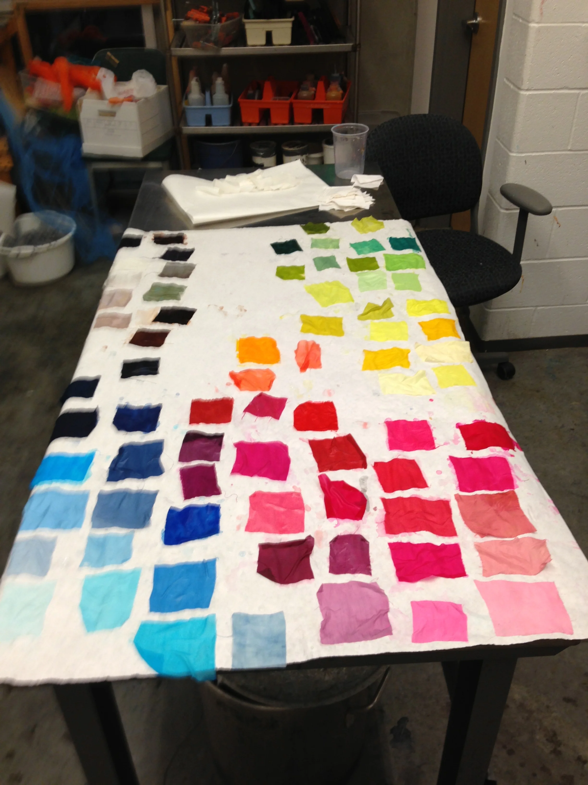 Silk Dyeing Project