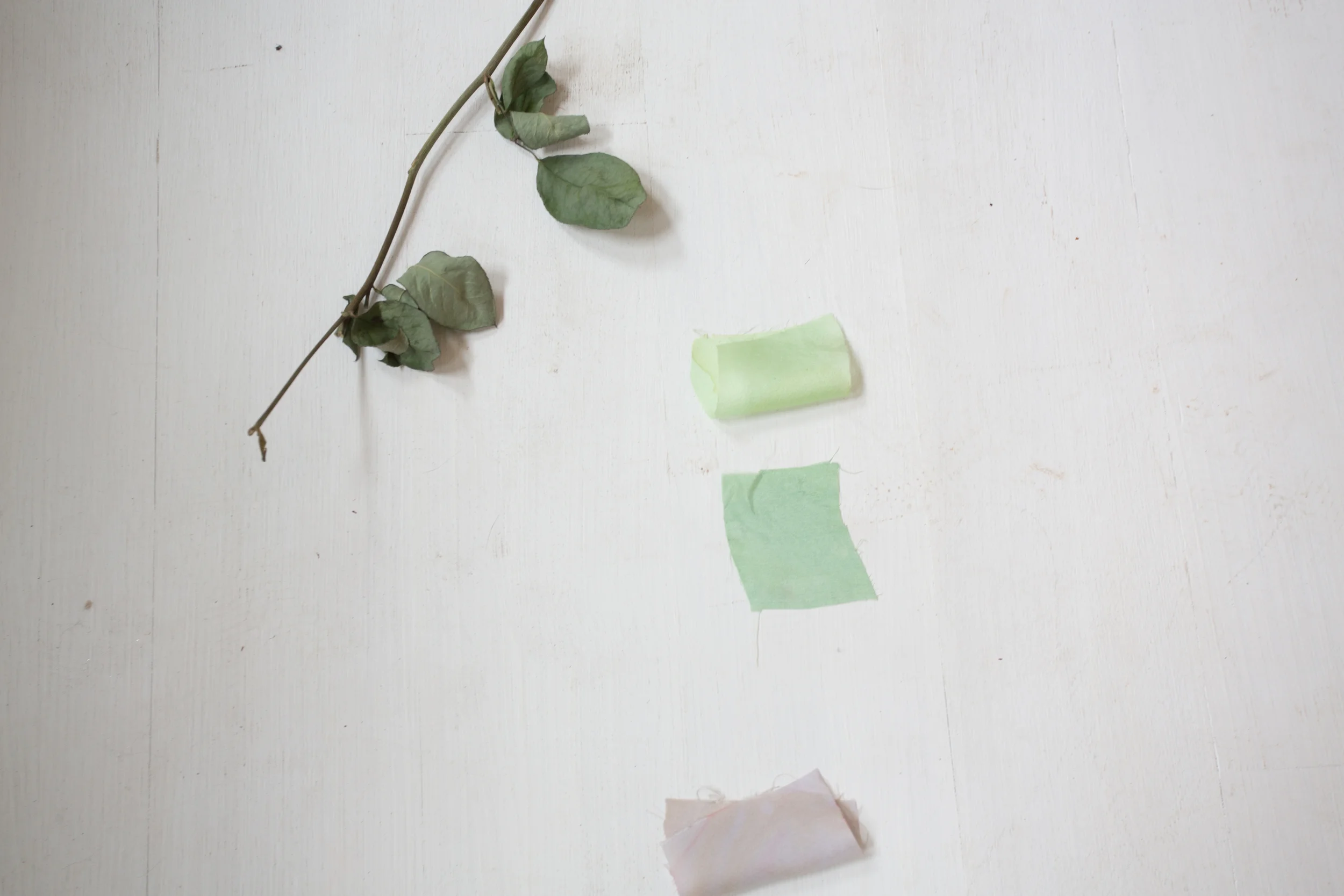 Hand-dyed Silk swatches