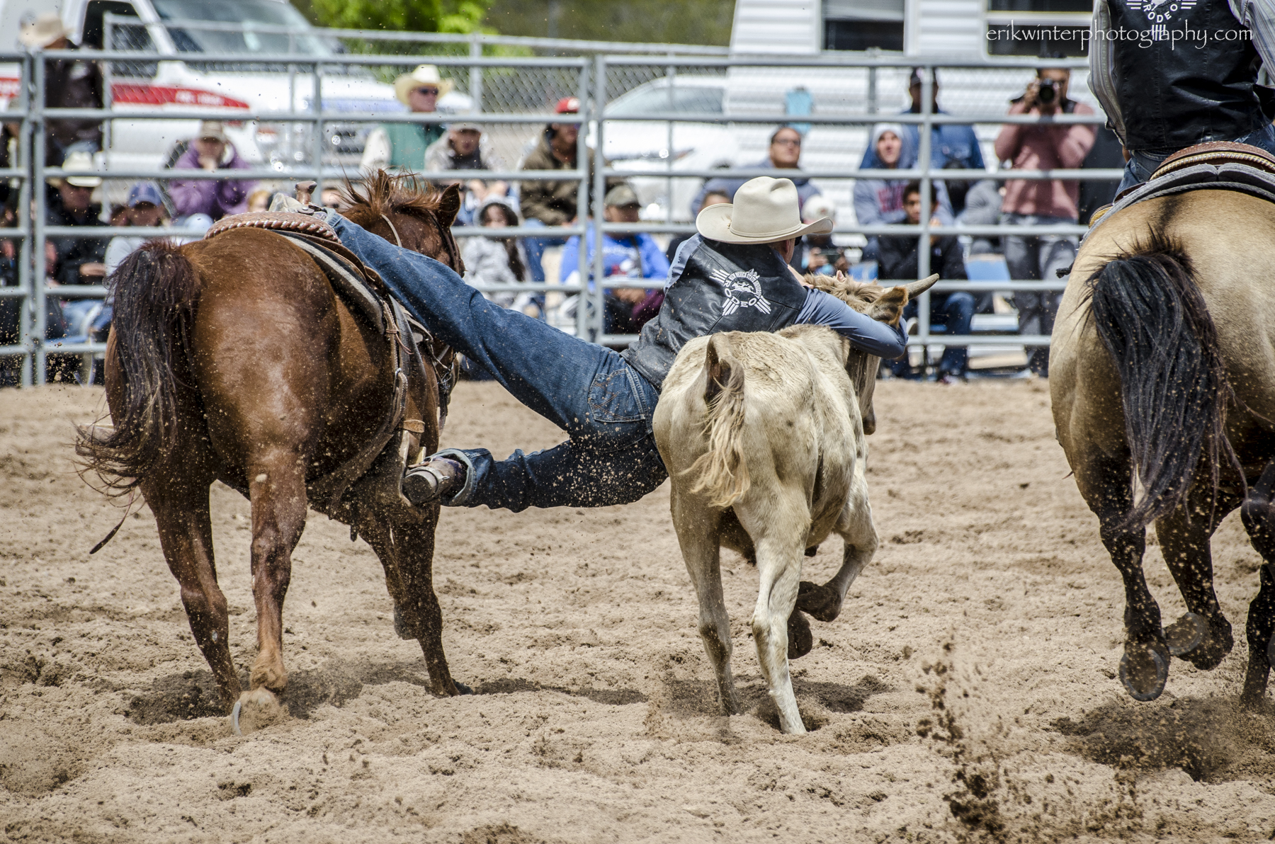 NMSU_Rodeo_2015-0886.jpg