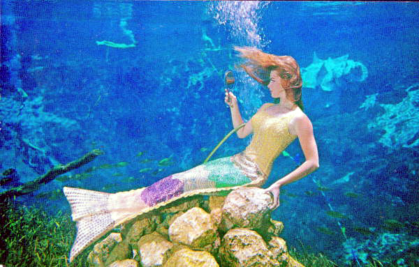 Mermaid Bonita Colson checking her hair in a mirror - Weeki Wachee, Florida. State Archives of Florida, Florida Memory , http://floridamemory.com/items/show/163221.