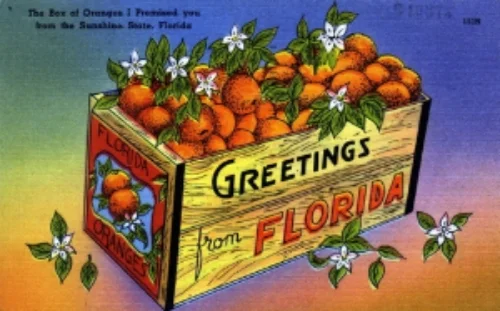 Greetings from Florida. State Archives of Florida, Florida Memory , http://floridamemory.com/items/show/158104