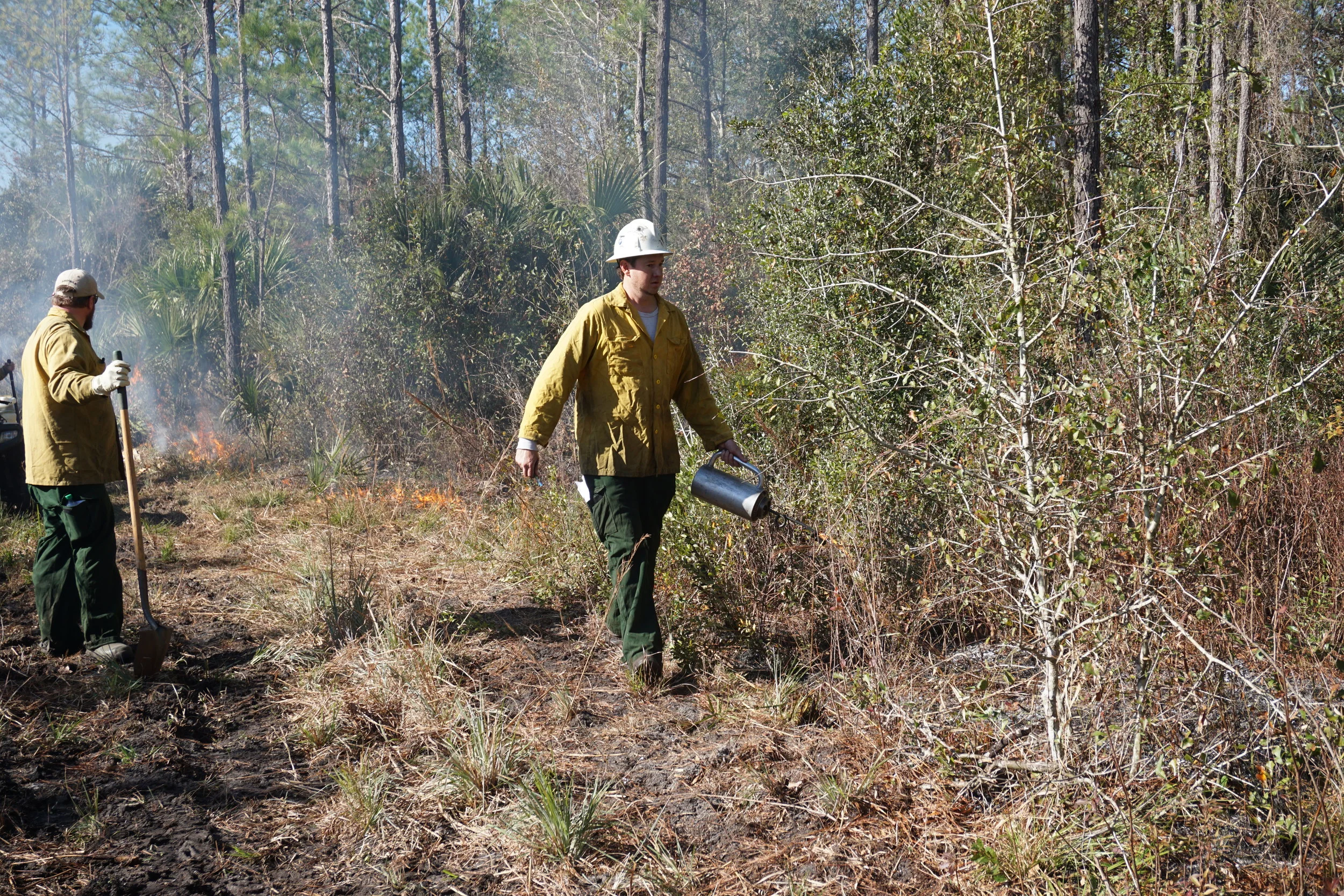 Fire crew sets fire during a prescribed burn at the Williams'. Photo by DCW.