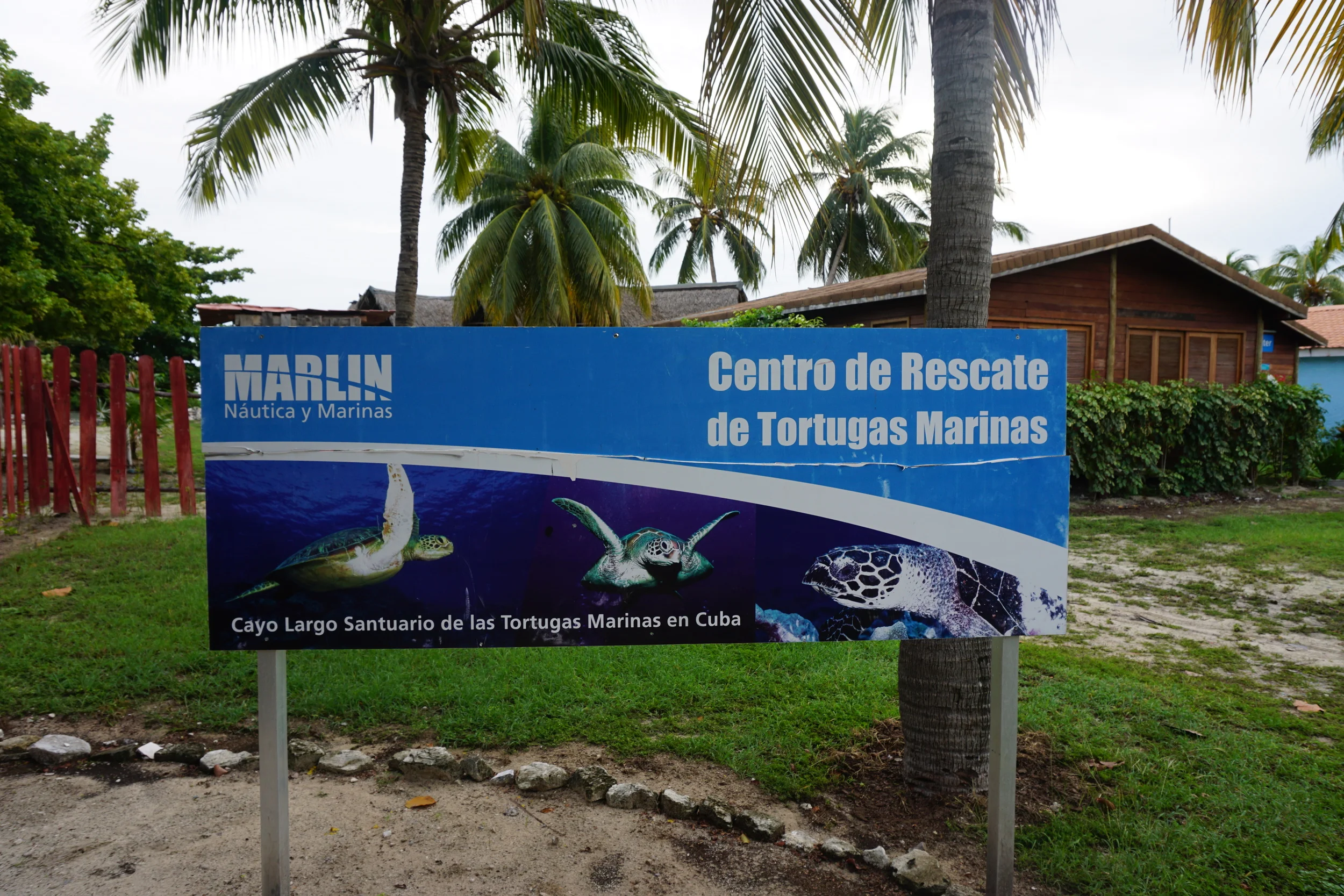 Cayo Largo Center for Sea Turtle Rescue. Photo by Daniel Ward.