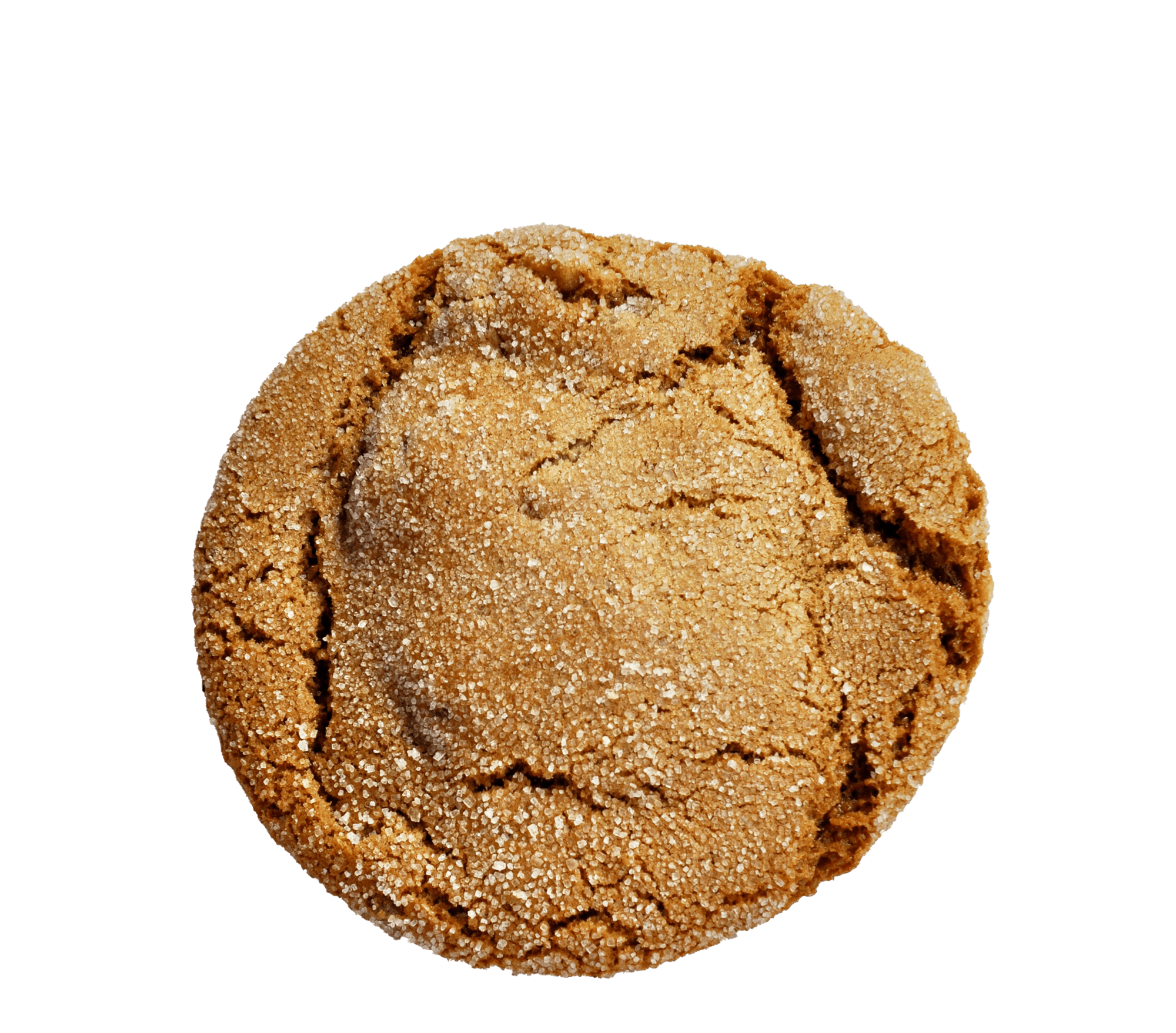 ginger molasses cookie.png
