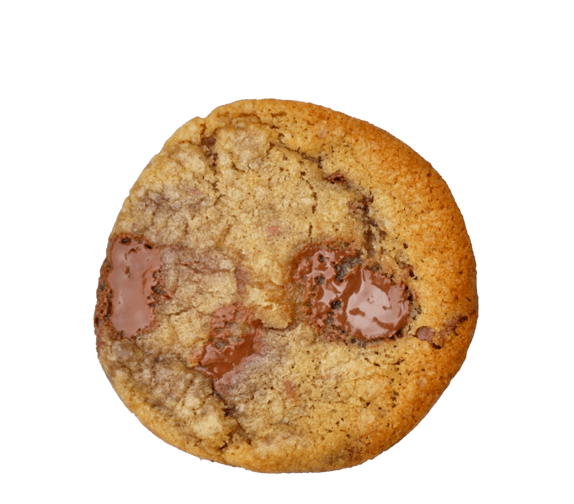 chocolate chip cookie