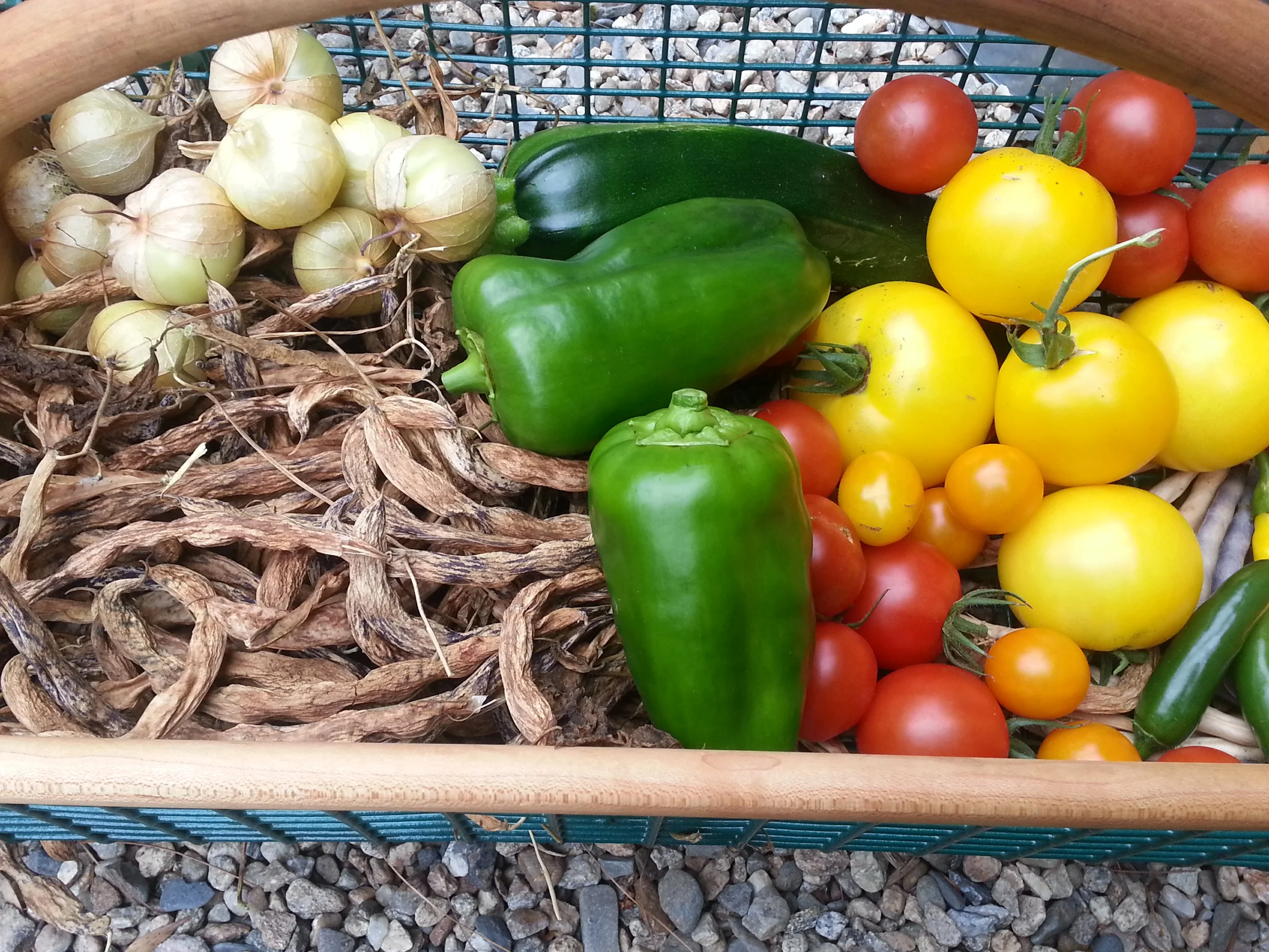 2013-09-10 08.30.02.jpg