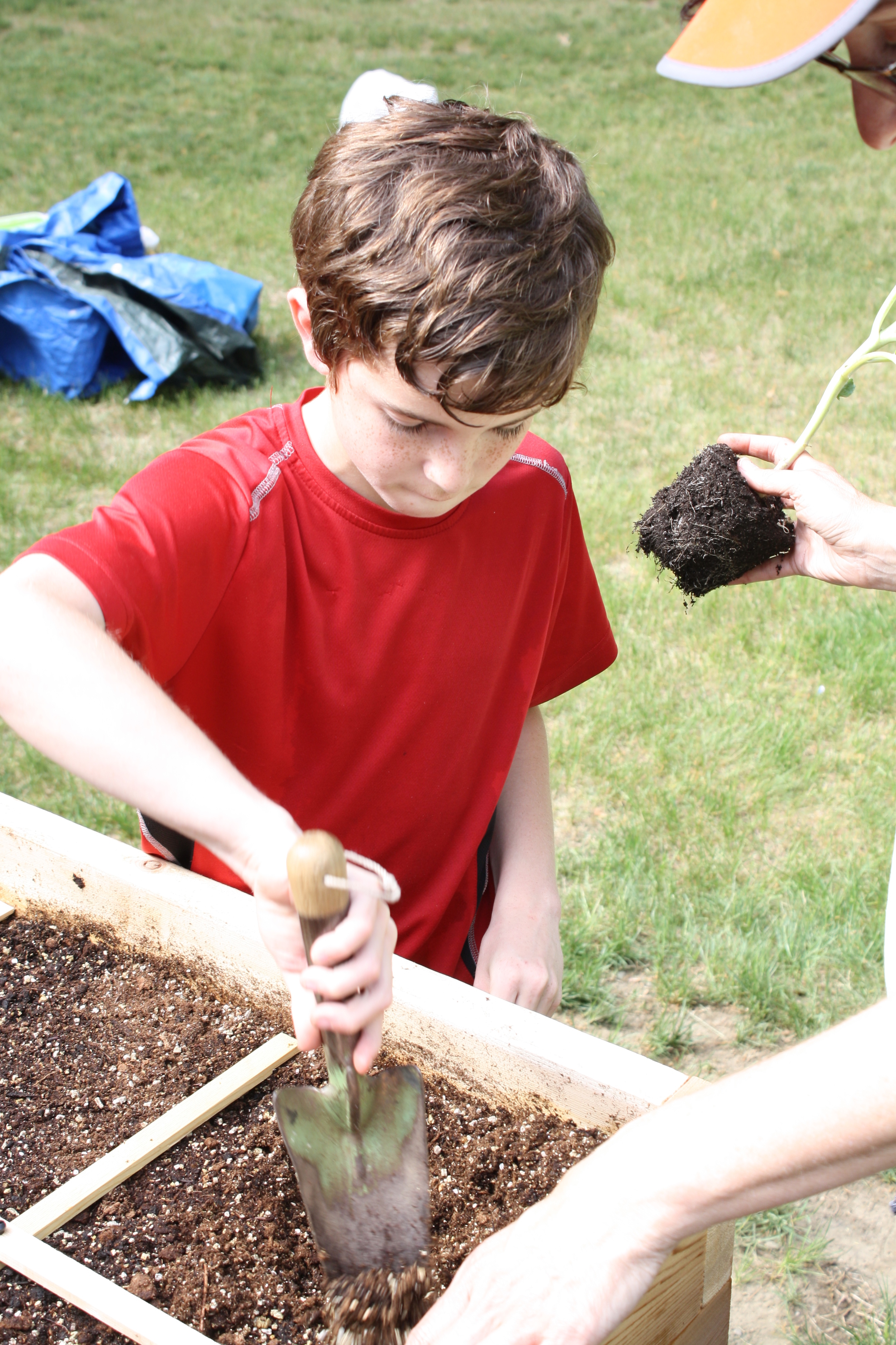 planting.jpg
