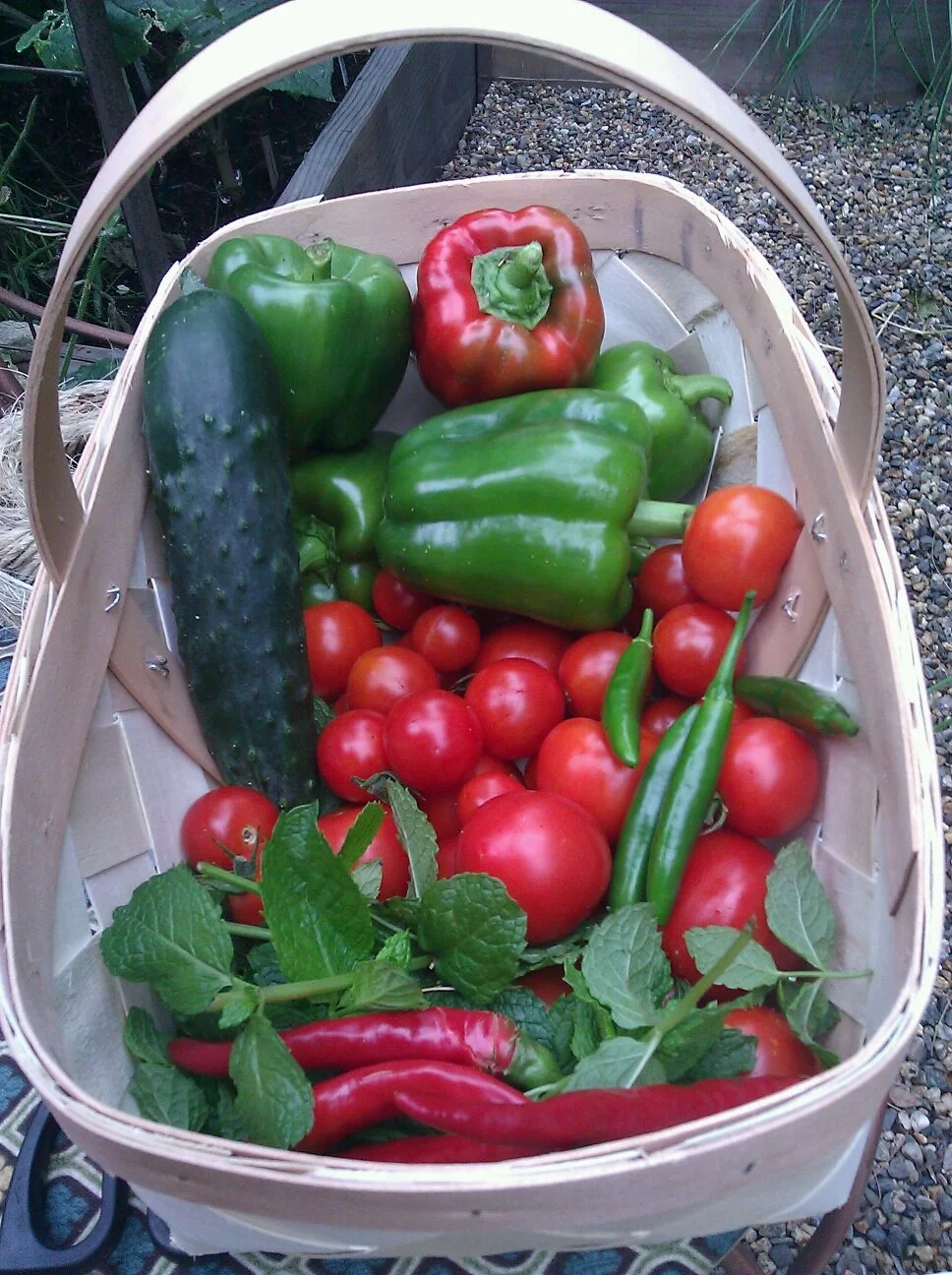 Time to order seeds: Tomatoes and Peppers