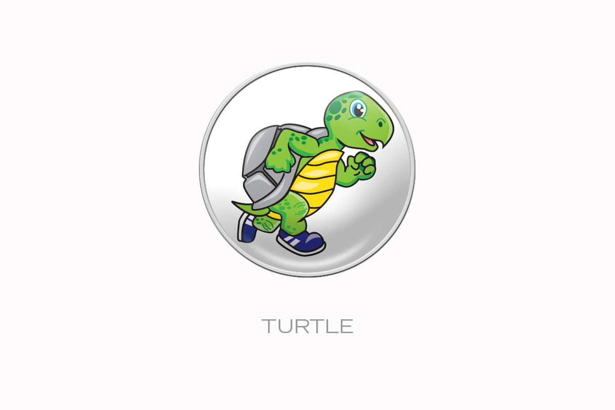 Turtle RaceDots®