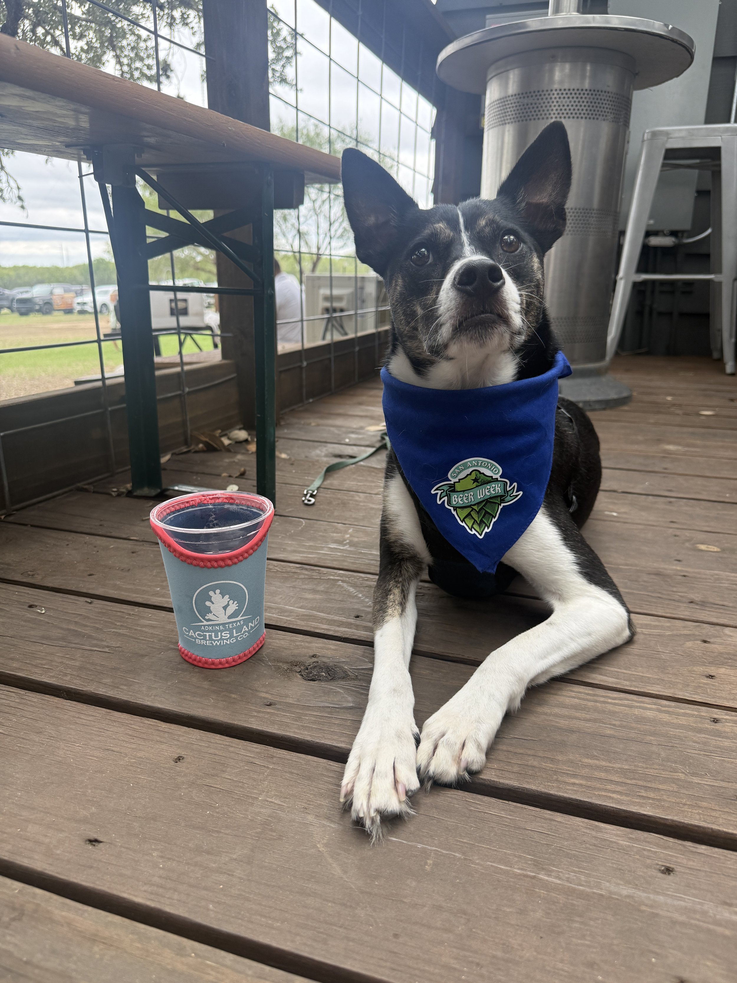SABW 2026 Bandana