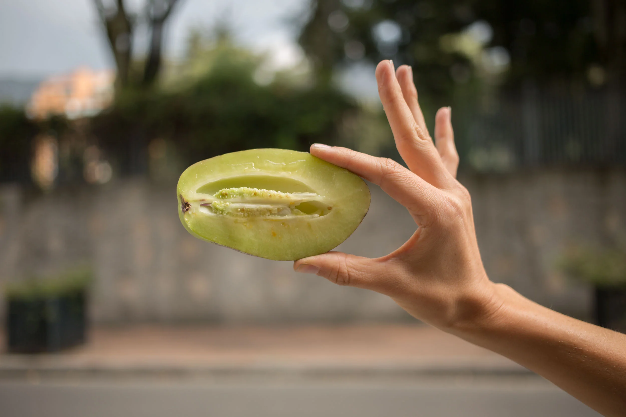 1/2 MELON PEPINO
