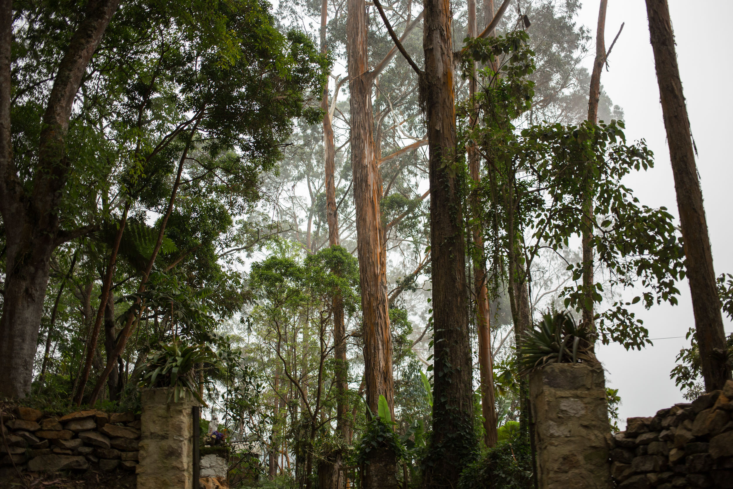 BOJACÁ, COLOMBIA