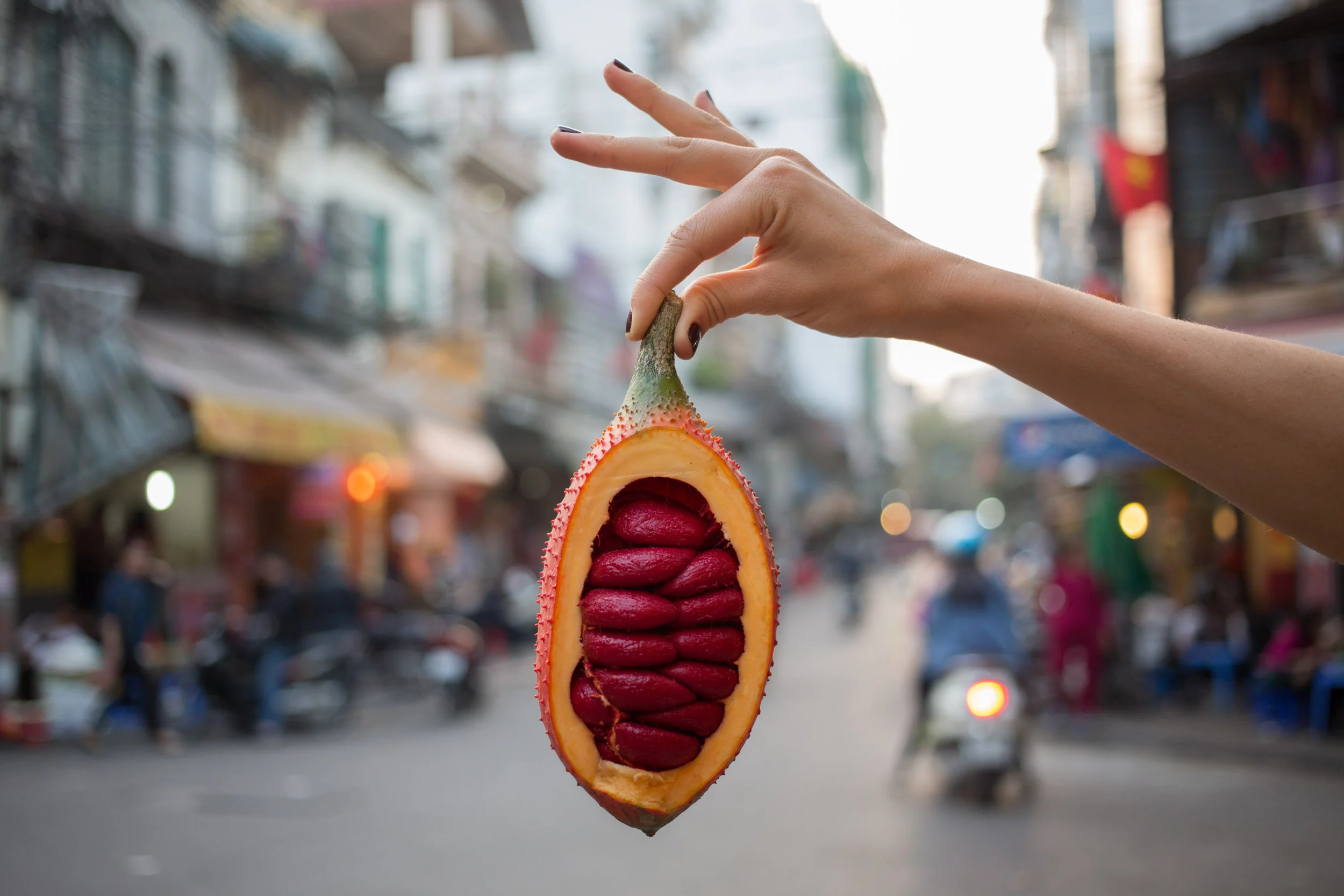 1/2 Quả gấc