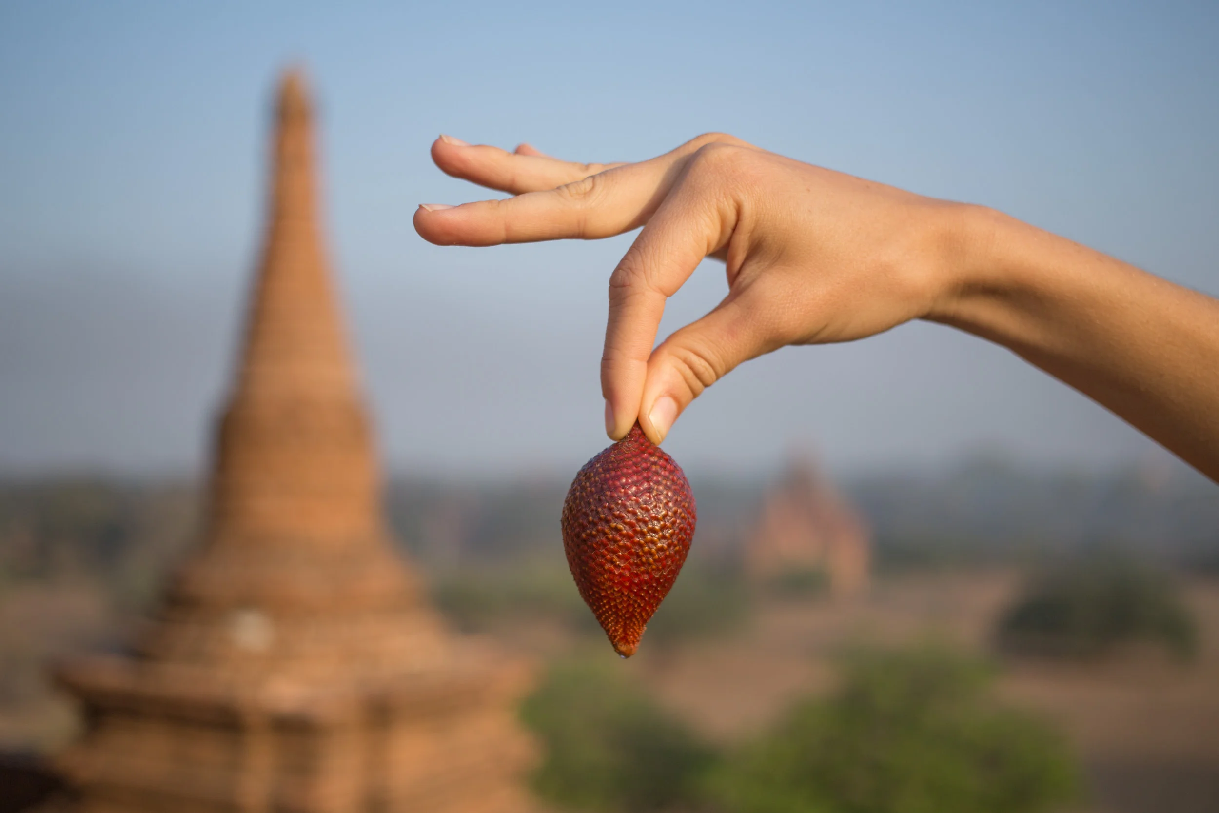Salak