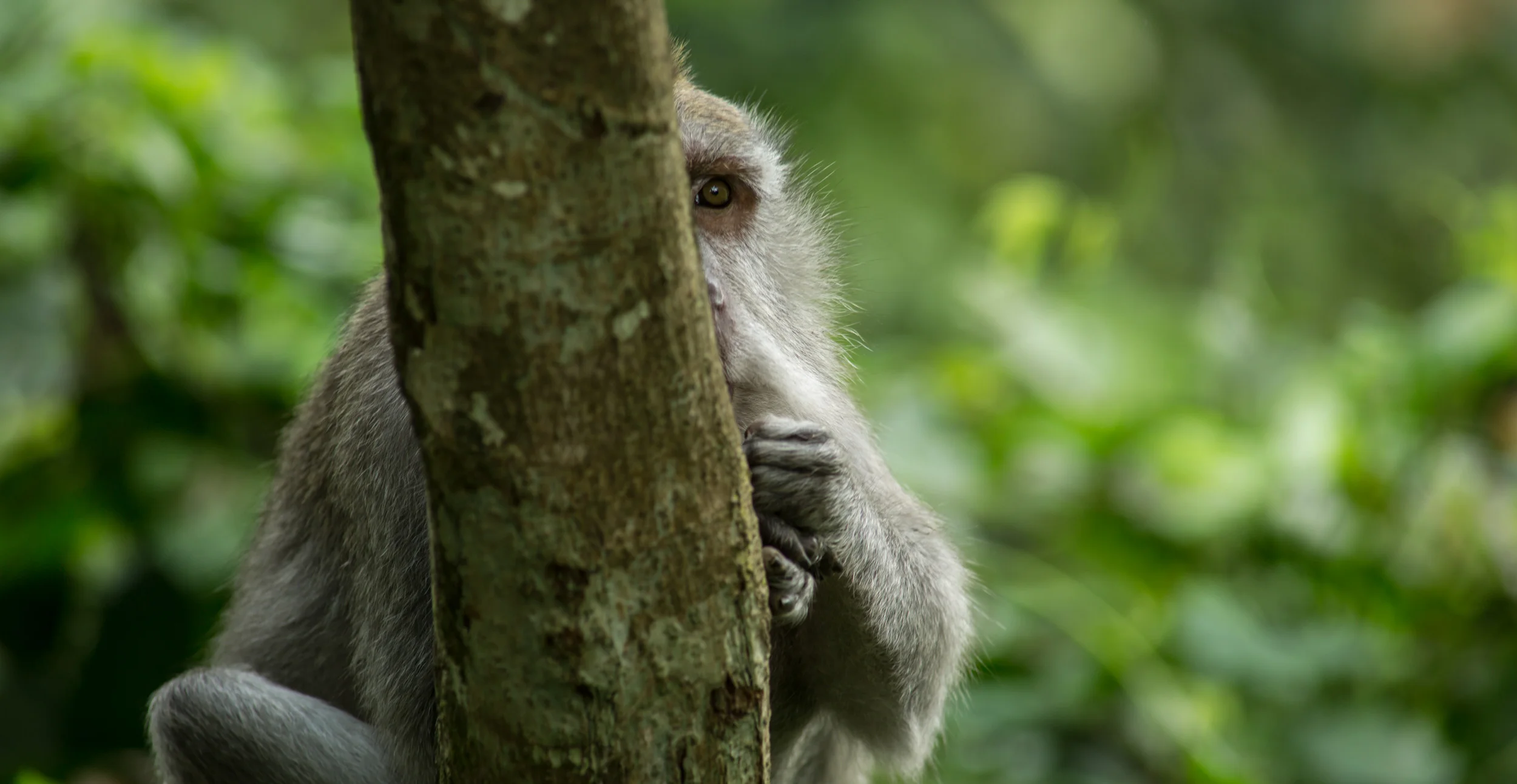 Bali, Indonesia