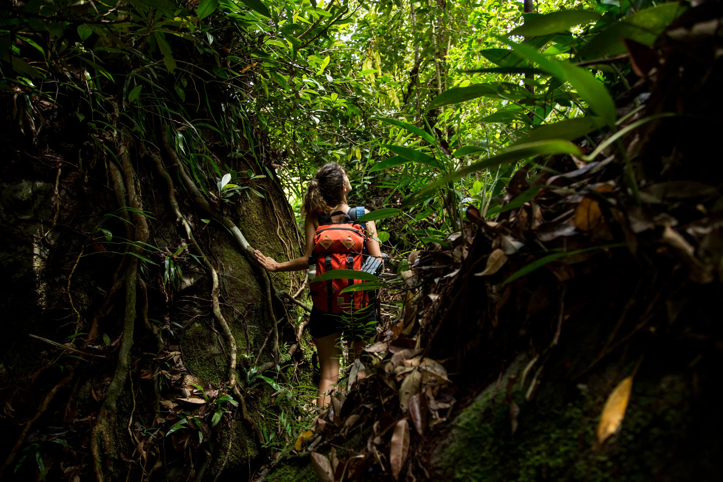 Bako National Park, Borneo, Malaysia