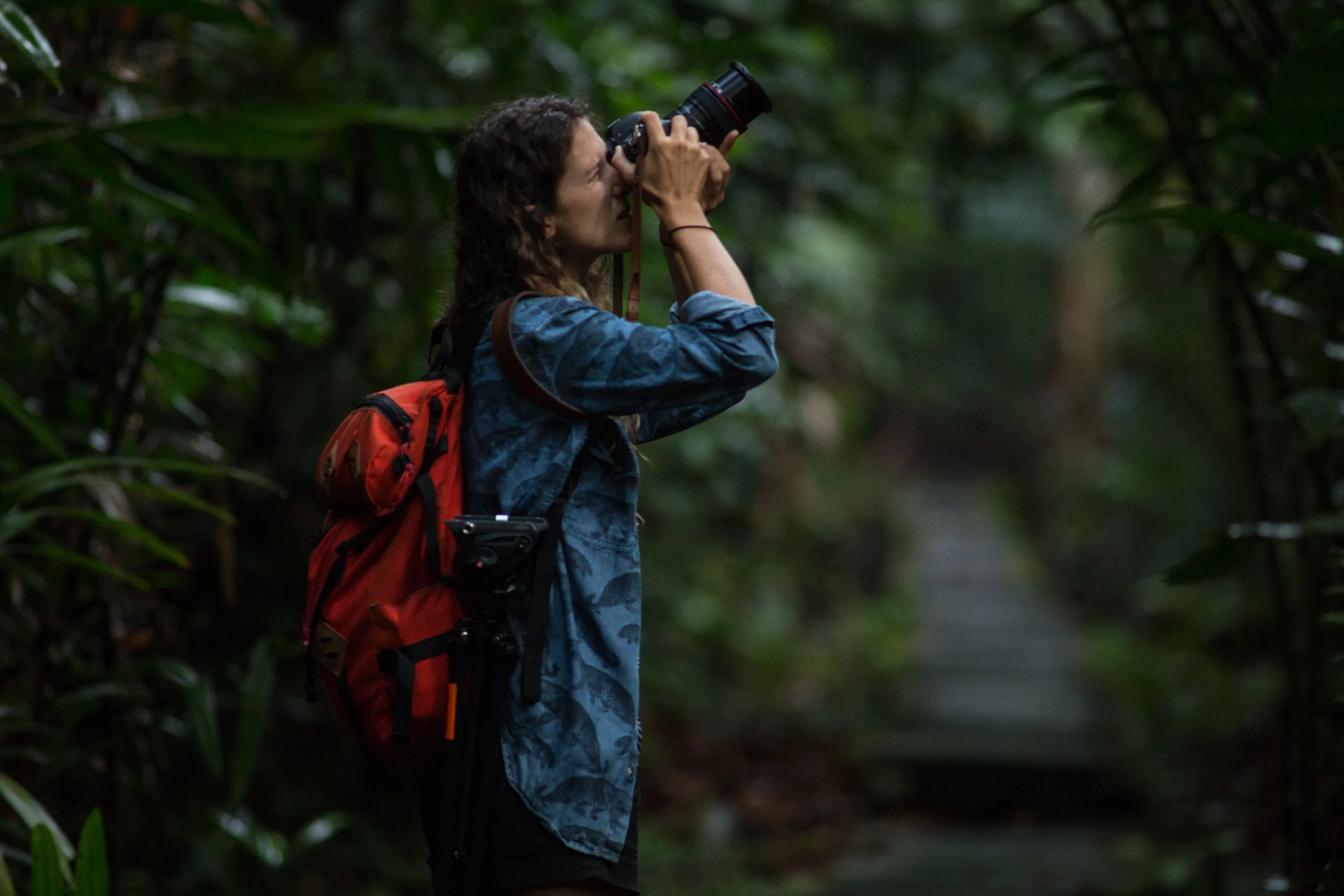 Bako National Park, Borneo, Malaysia