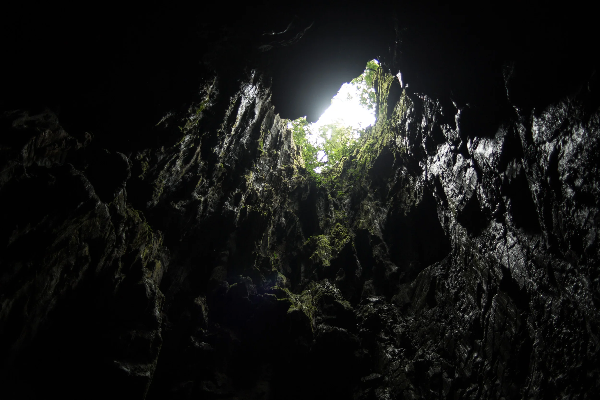 Clearwater Cave, Borneo, Malaysia