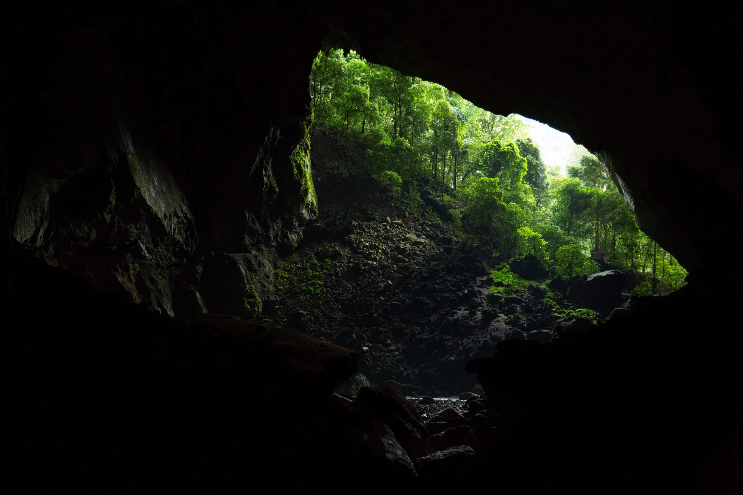 Deer Cave, Borneo, Malaysia