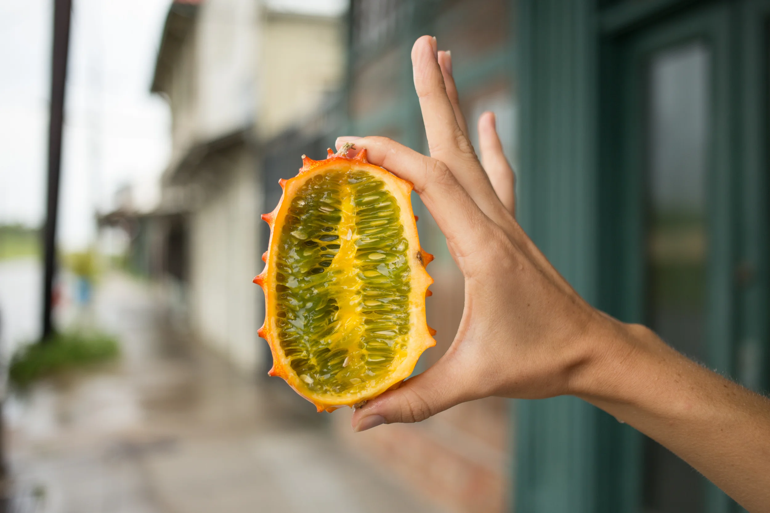1/2 HORNED MELON
