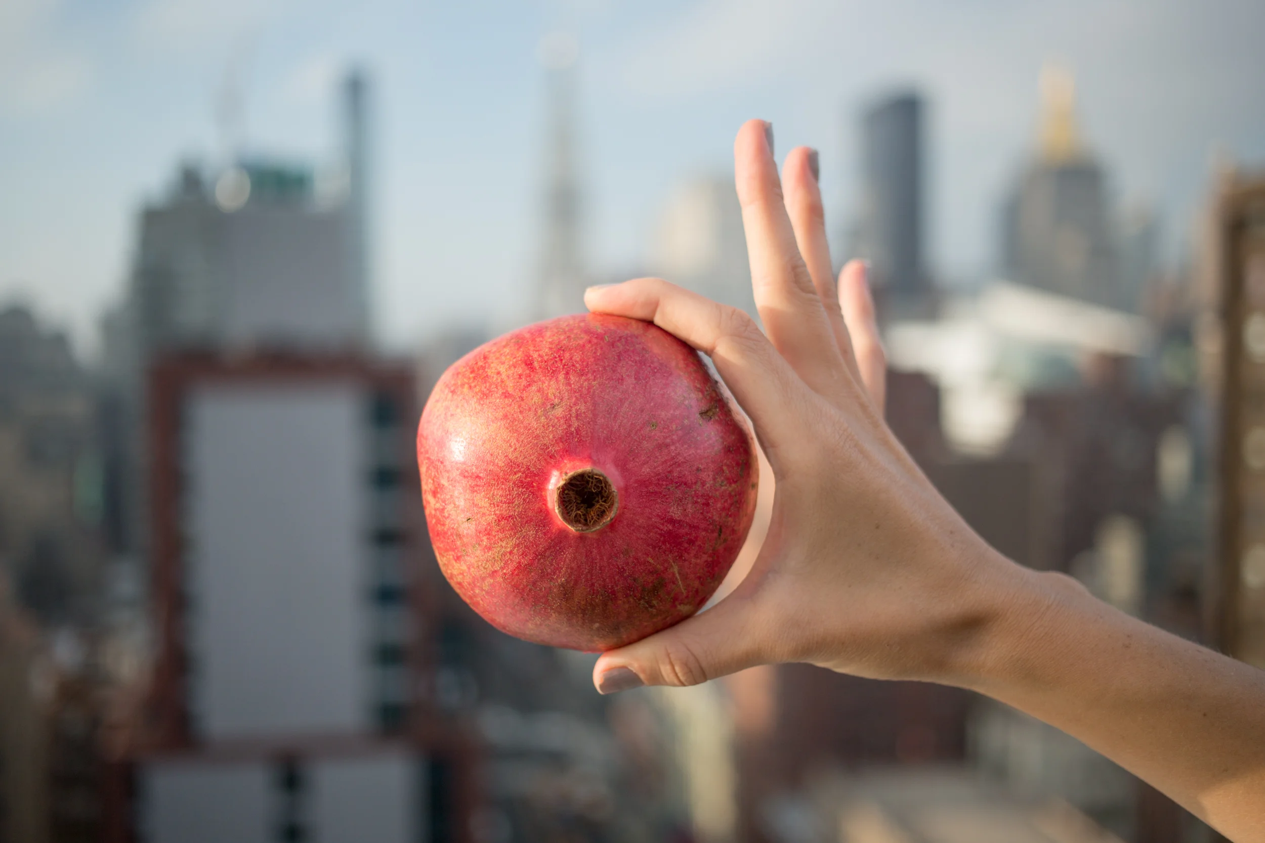 pomegranate