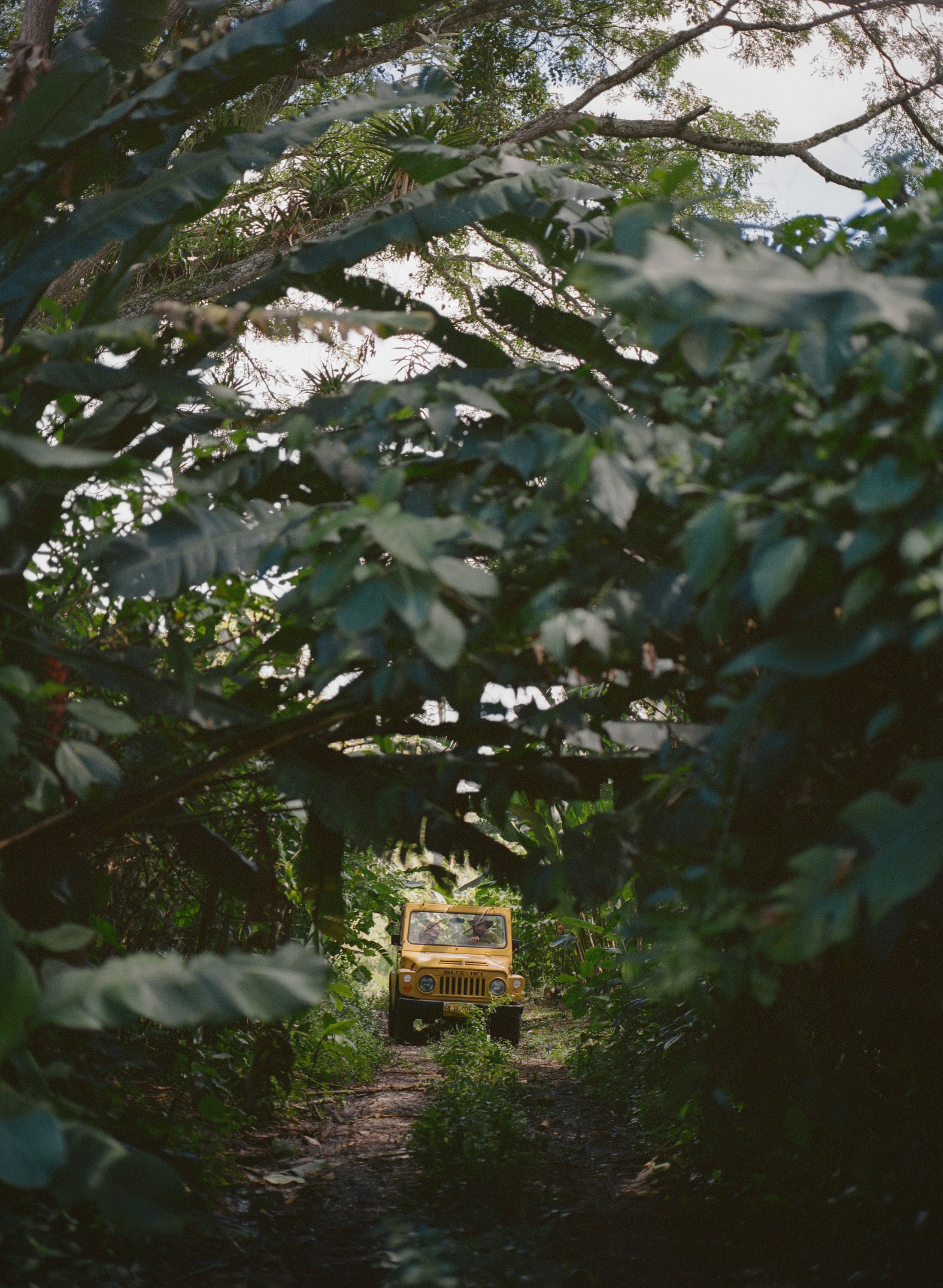 Quindio-2.jpg