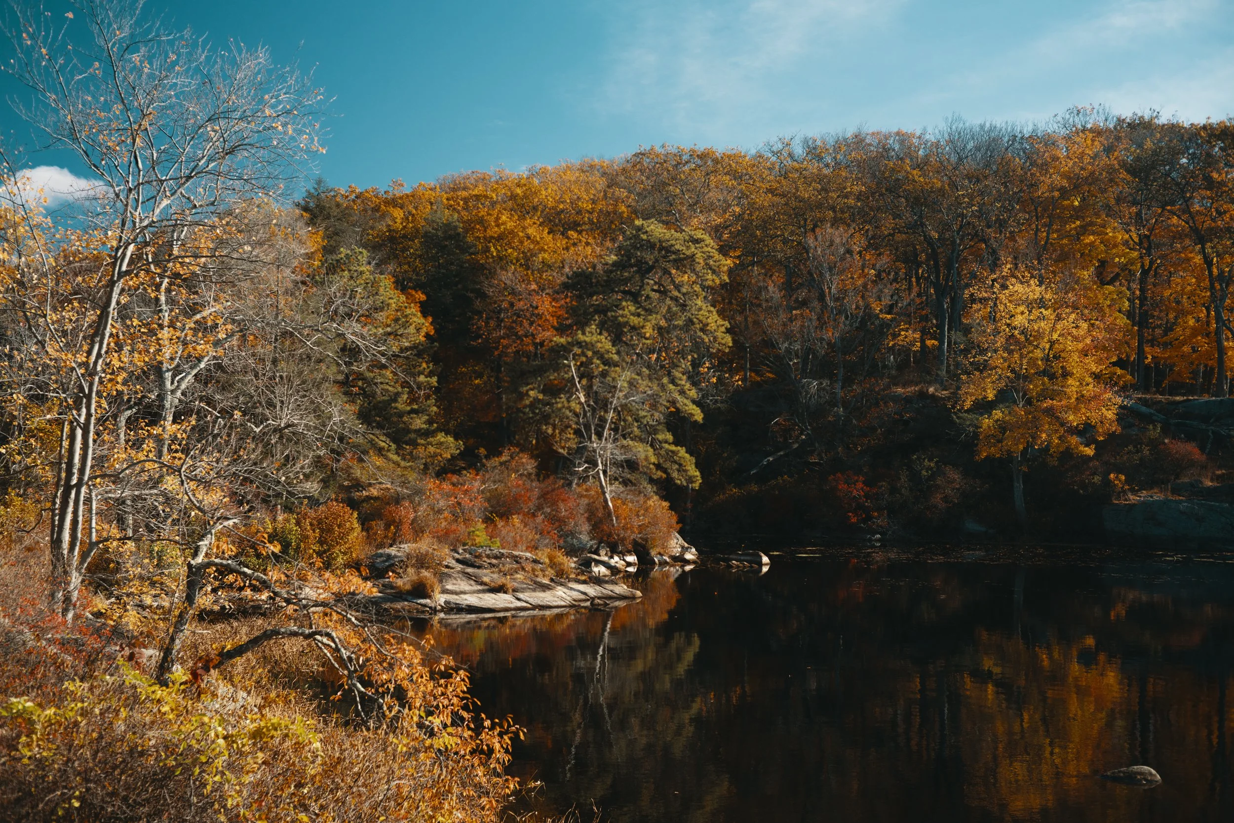 HARRIMAN-25.jpg