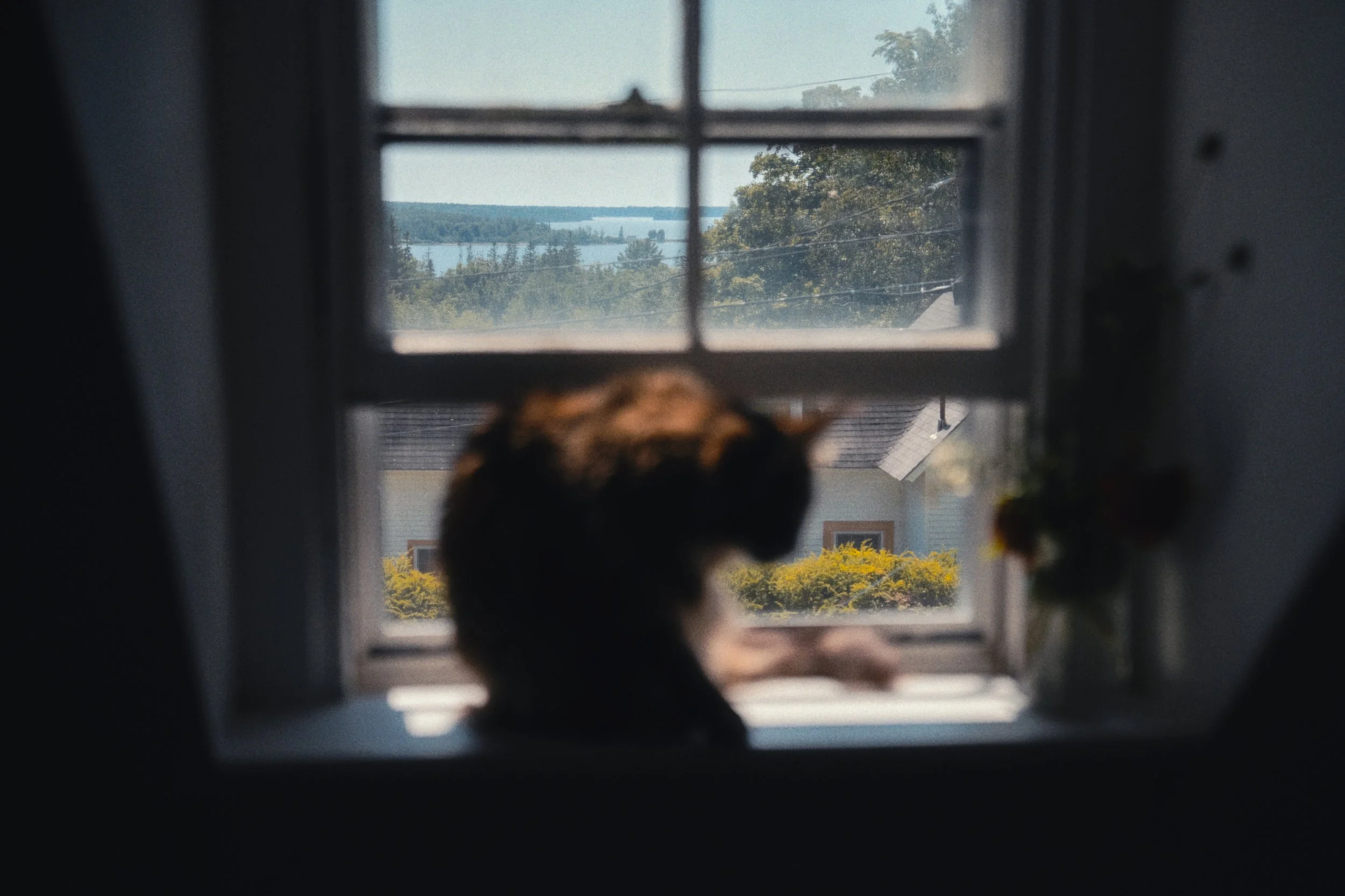 MAINE-260817-7.jpg