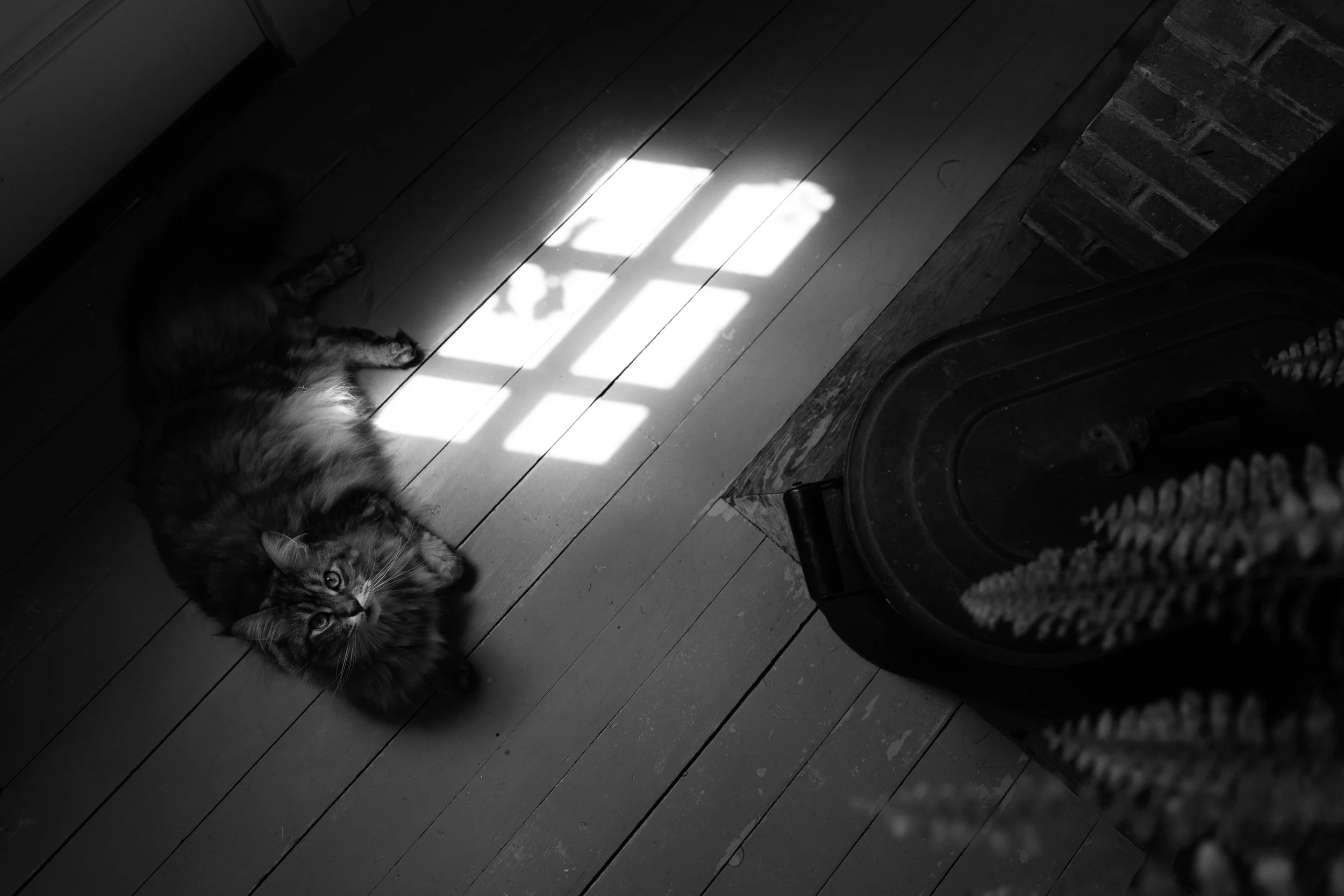 MAINE-260817.jpg