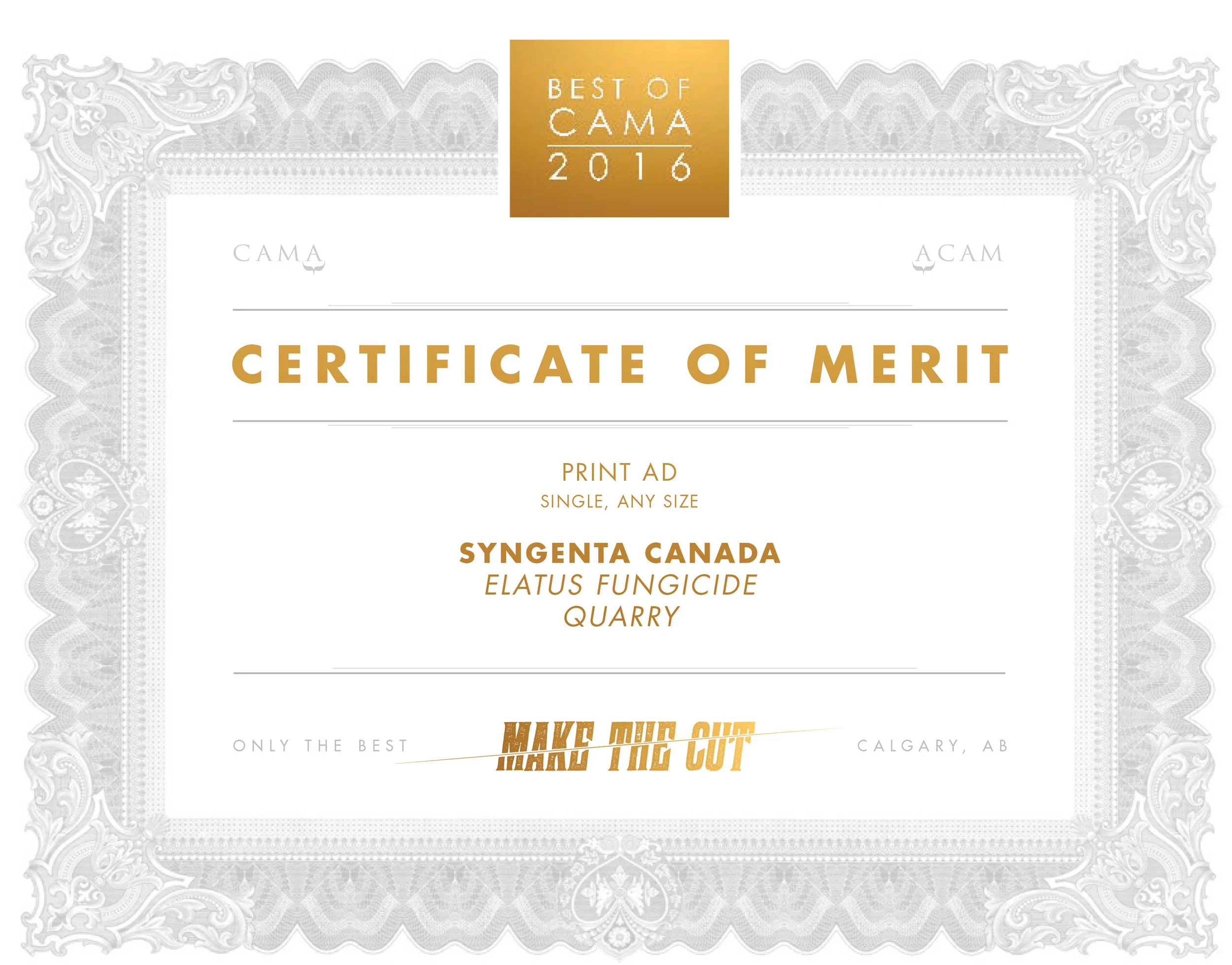 Best of CAMA 2016
