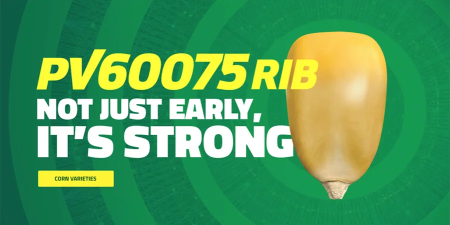 Proven Seed – Seed Campaign