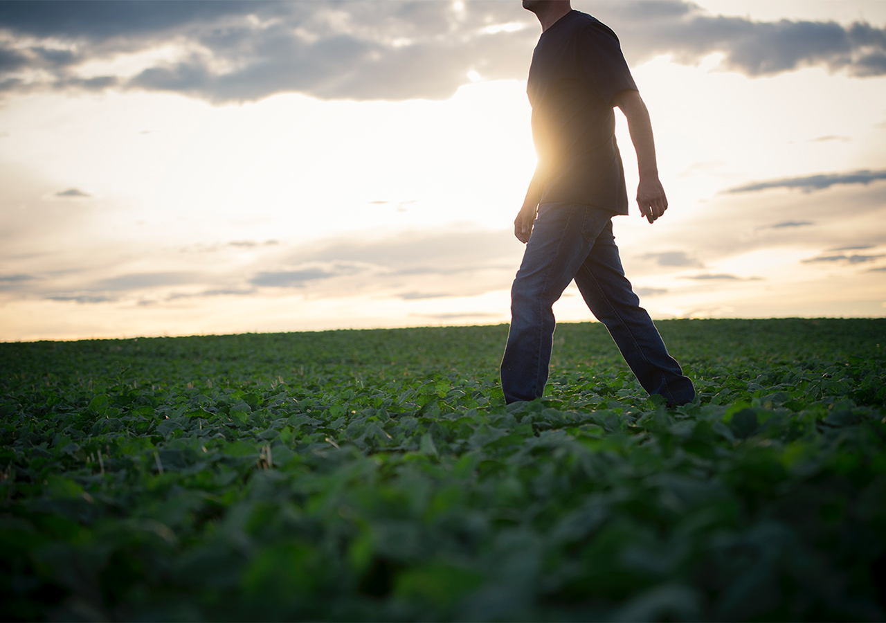 Proven Seed – Proven Leader