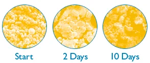 Arestin is proven to destroy the bacteria that causes periodontal disease
