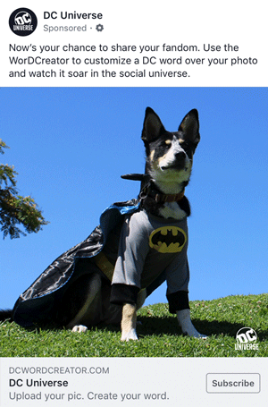 CapedCanineGif.gif