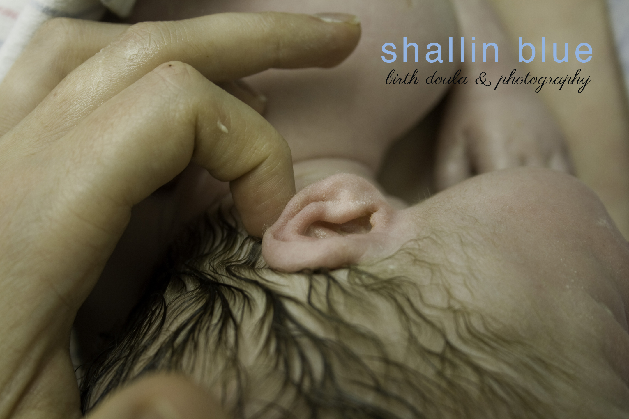 bestbirthphotographermililani.jpg