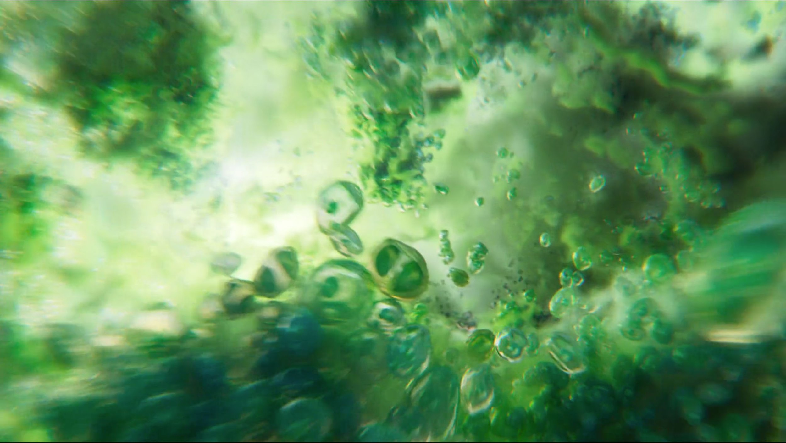 PROLOGUE_SCREENGRAB_0004_Layer Comp 5.jpg