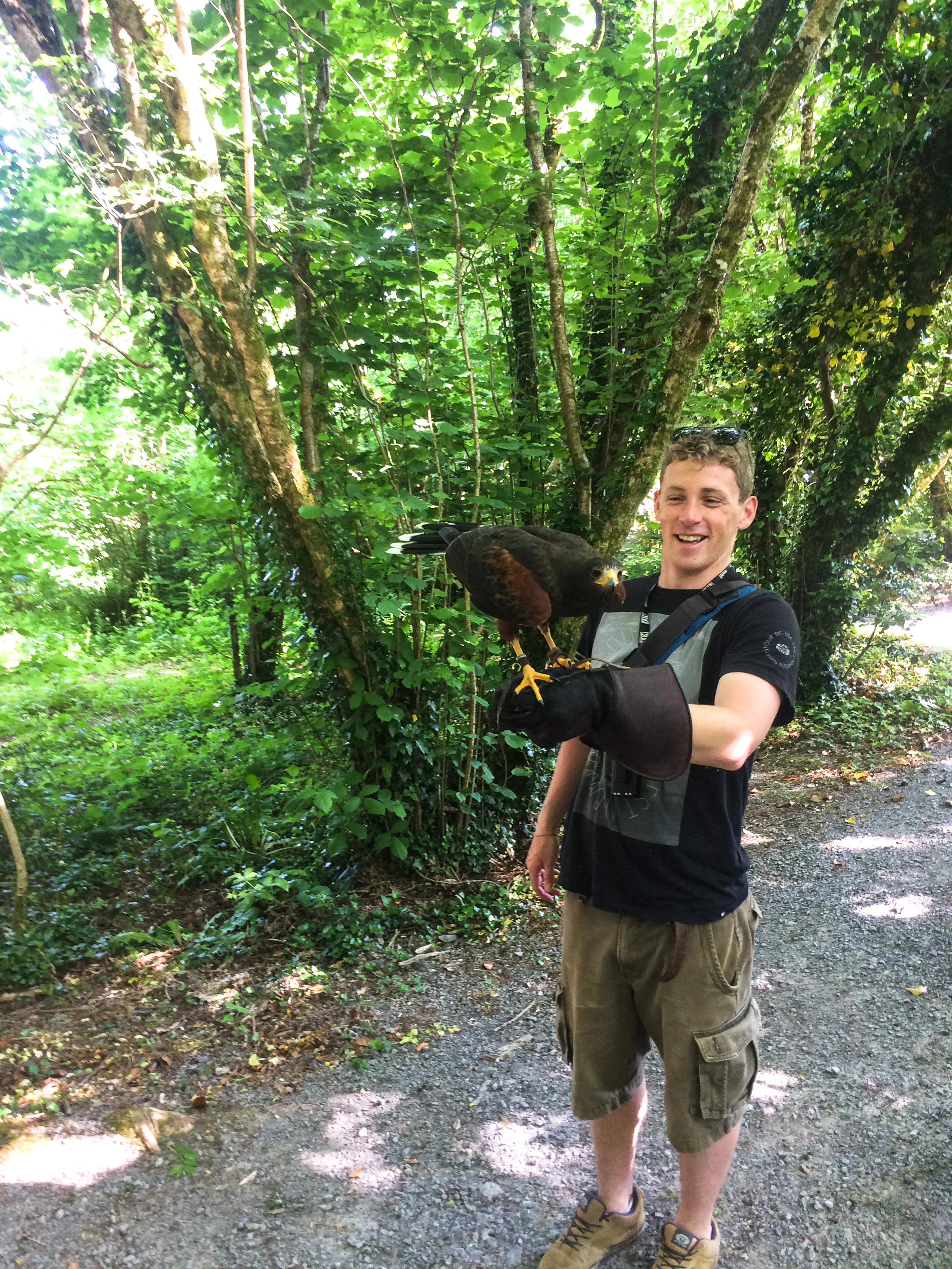 Fionn at the Burren Birds Of Prey center