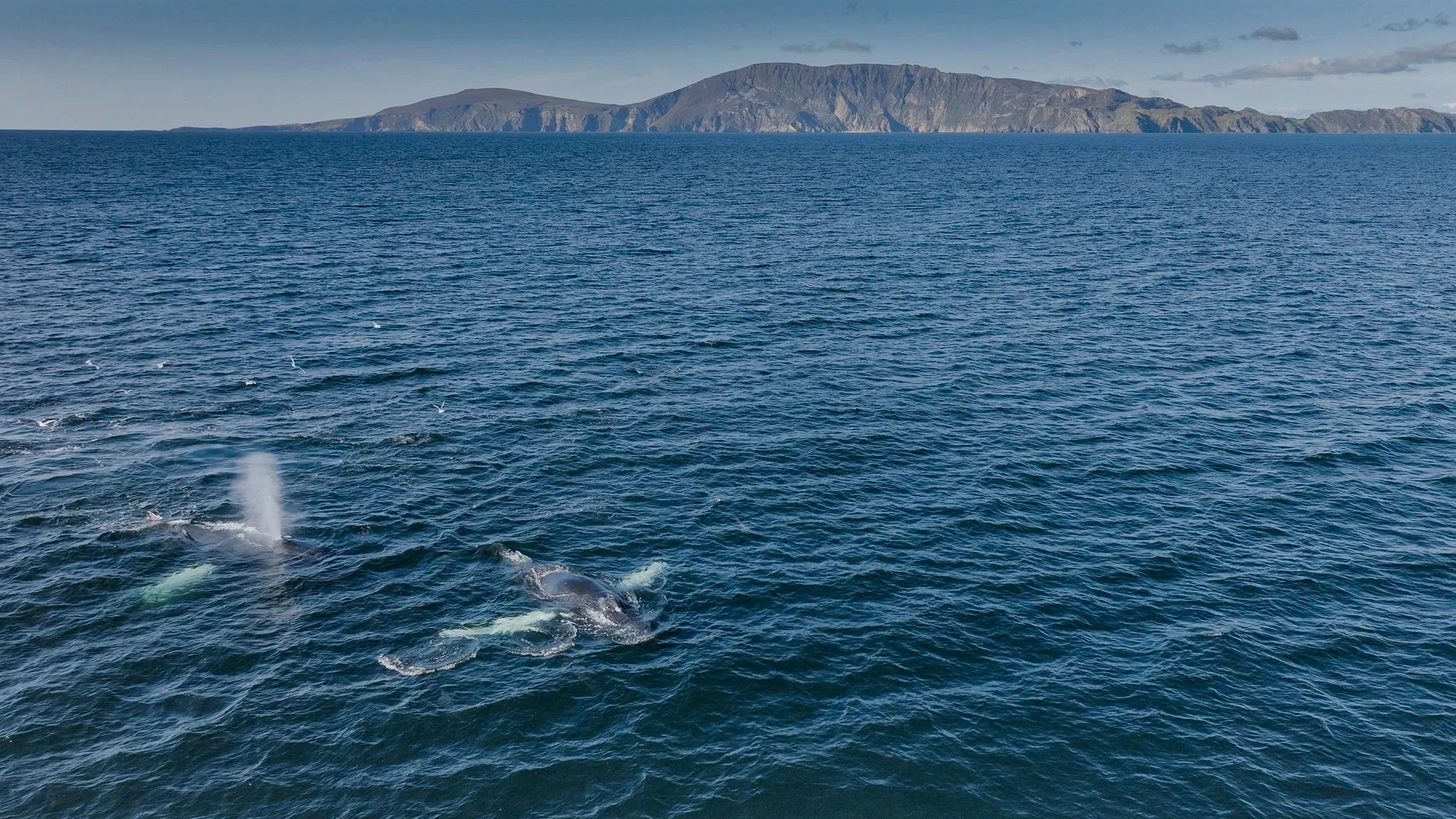 donrgal cliffs .00_02_08_03.Still002-3.jpg