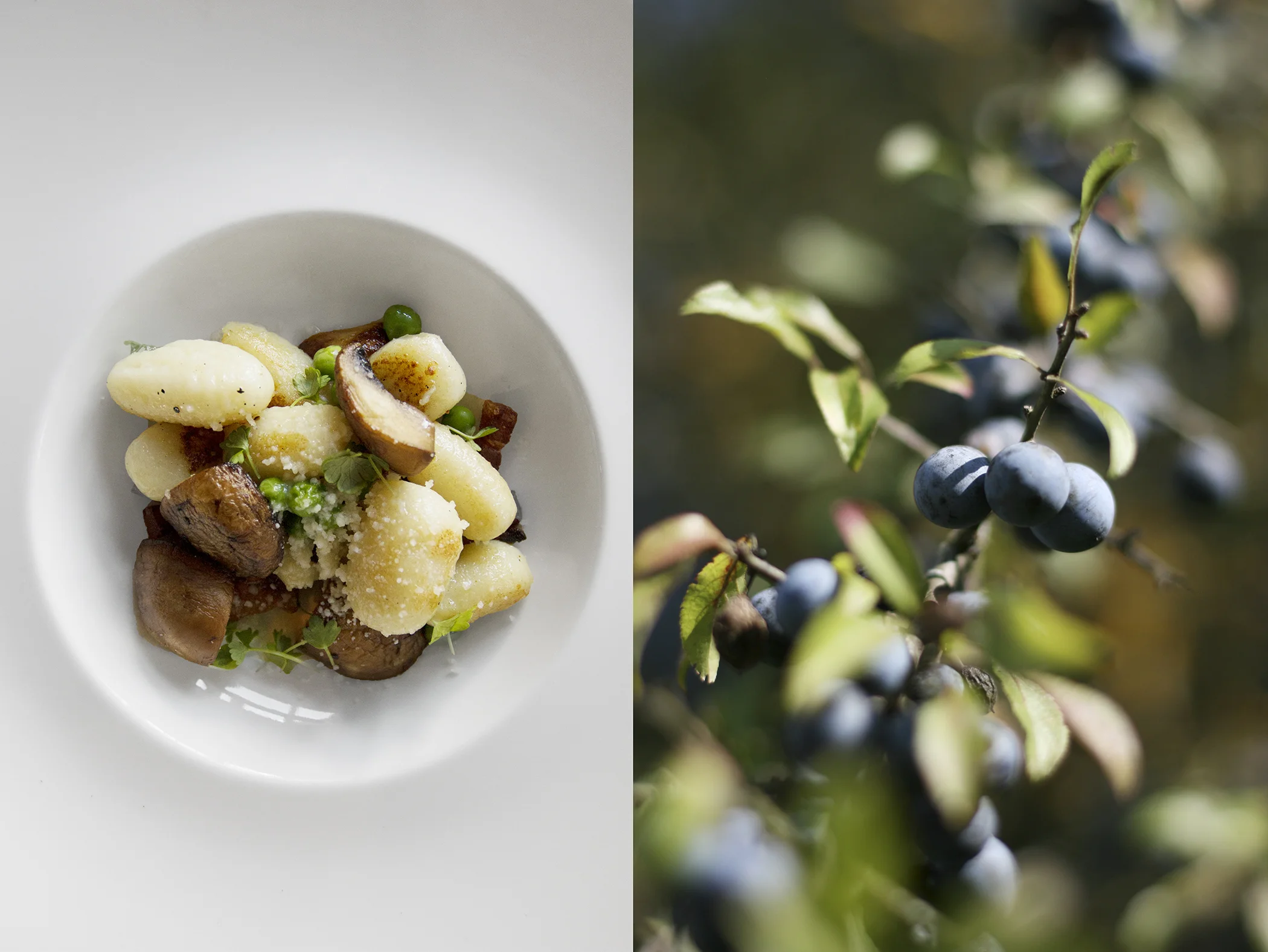 gnocchi_berries.jpg