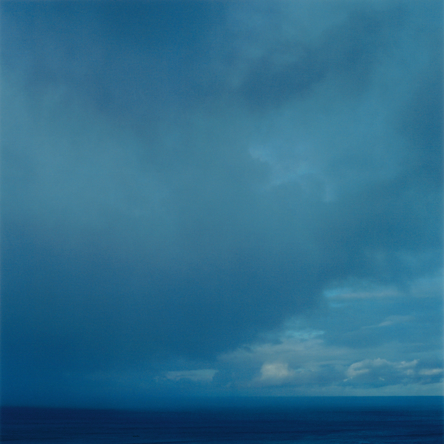 SQUALL, 2005