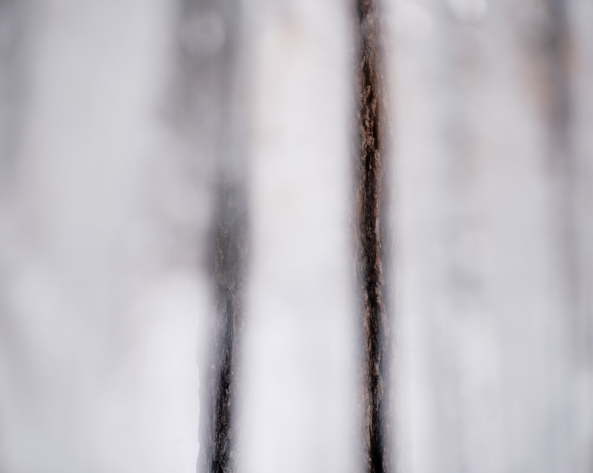 Winter Abstract #2, 2019